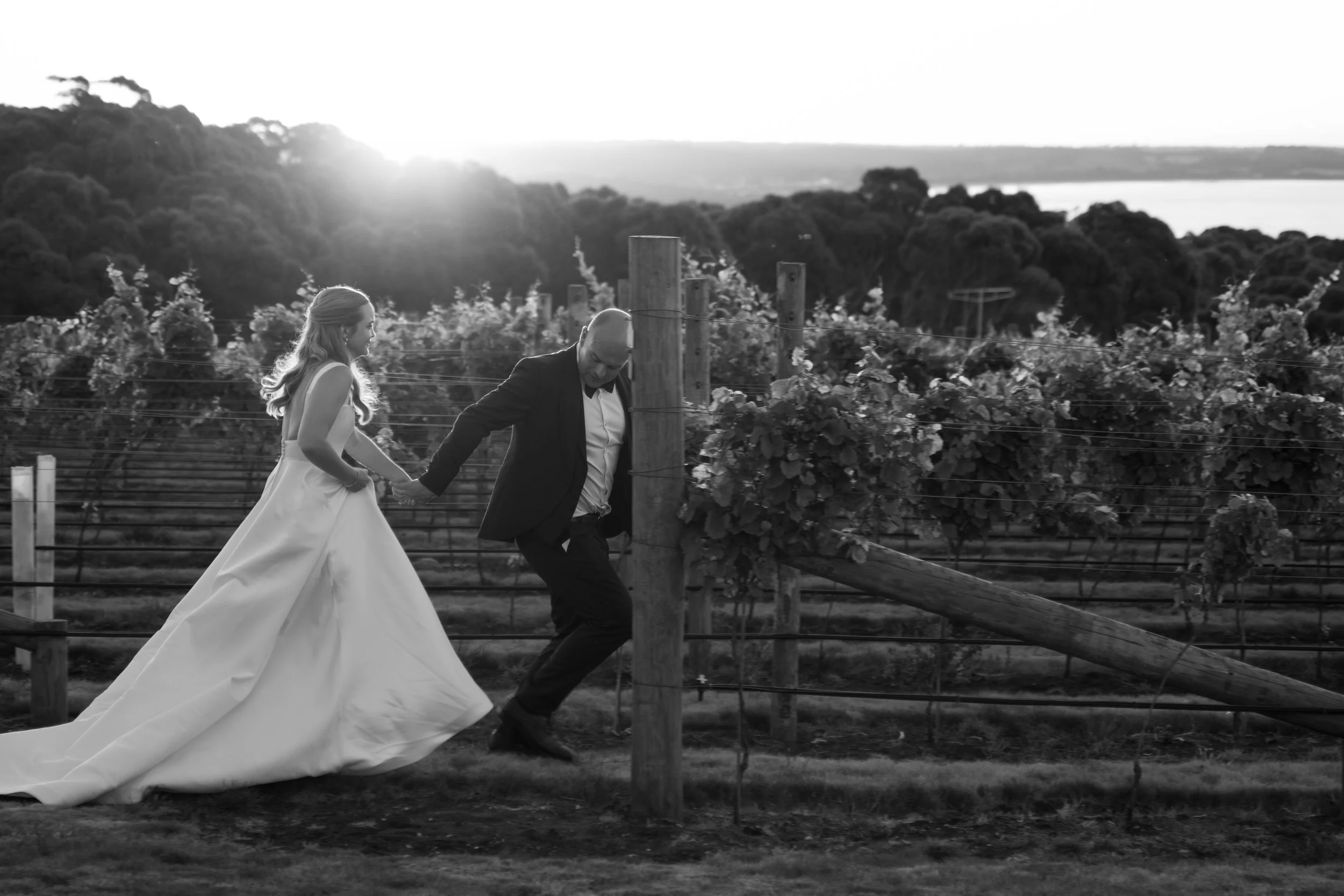 Black and white photo of a bride and groom walking hand in hand through a vineyard at sunset.