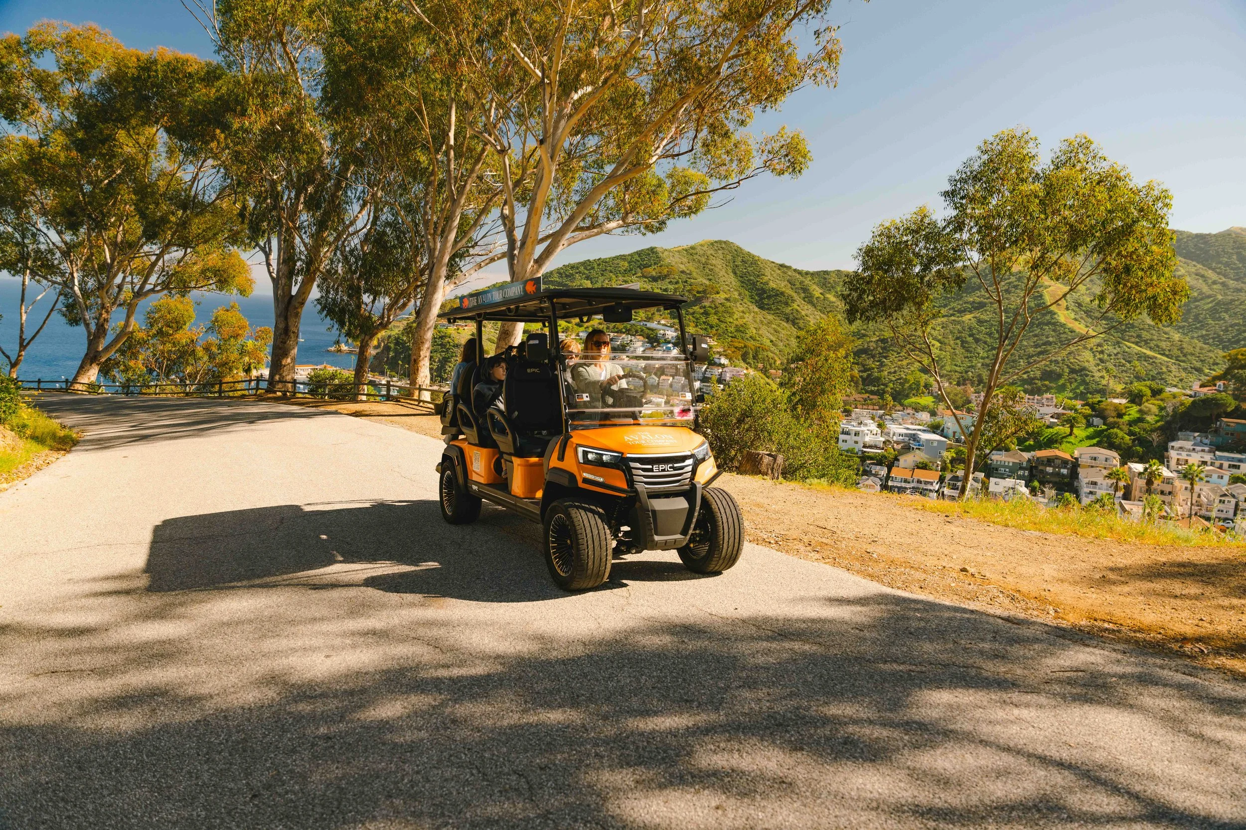 A white and black electric golf cart with four seats, two in the front and two in the rear, under a black roof, with large off-road tires.