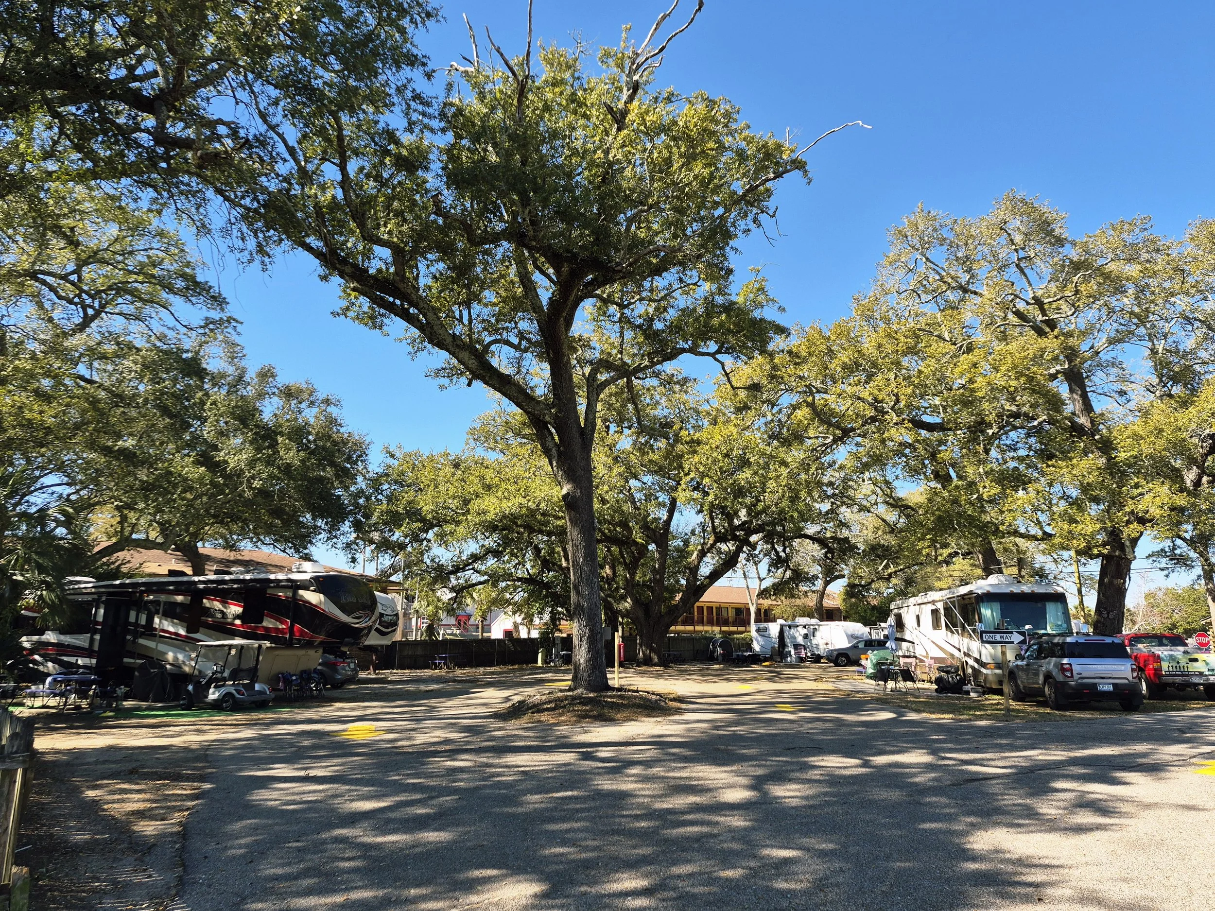 RVs at Biloxi Beachside RV Park