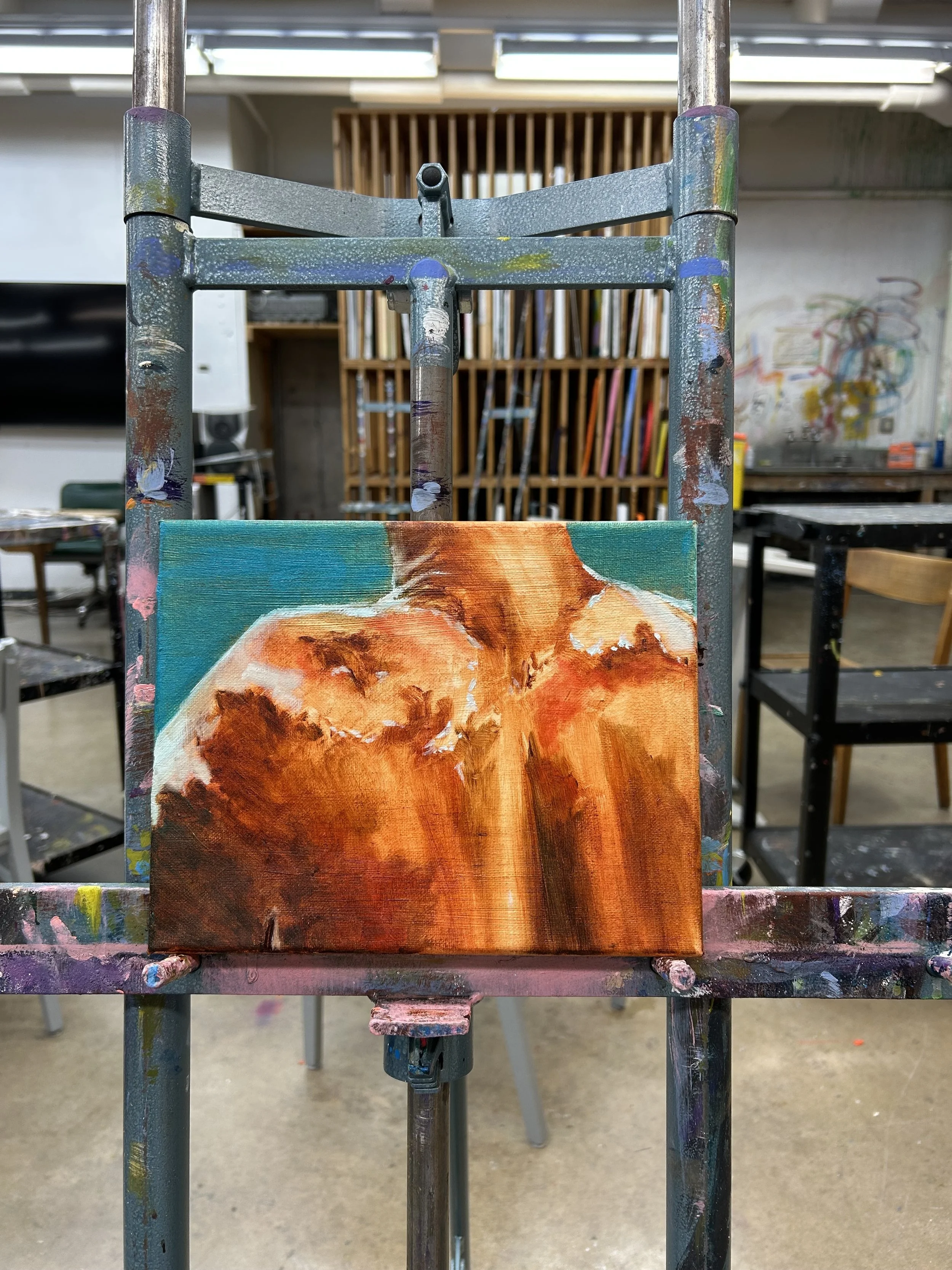 Finally, I added some darker shading and brighter highlights to add dimension and depth.