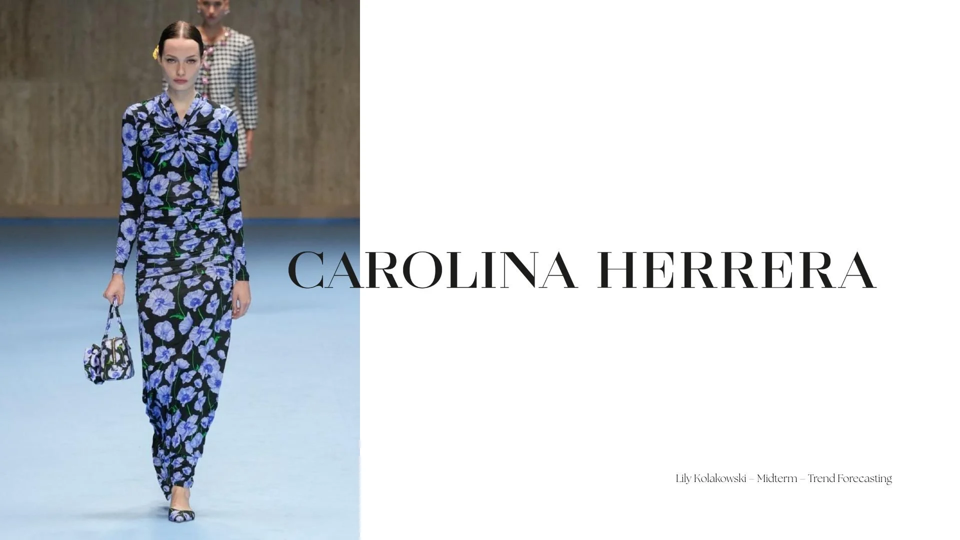 Brand Trend Forecast Project