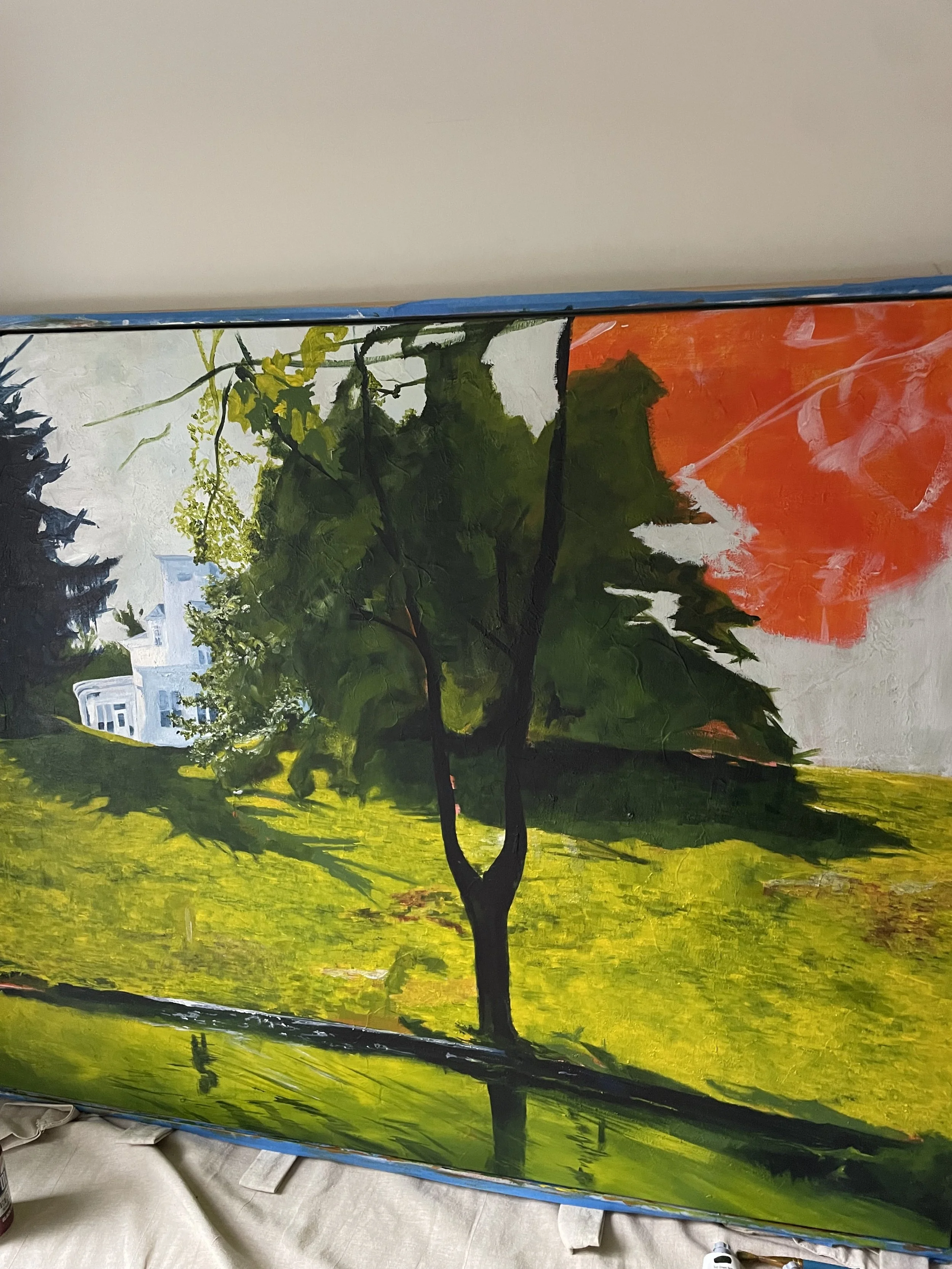 Began filling in sections with large blocks of color.
