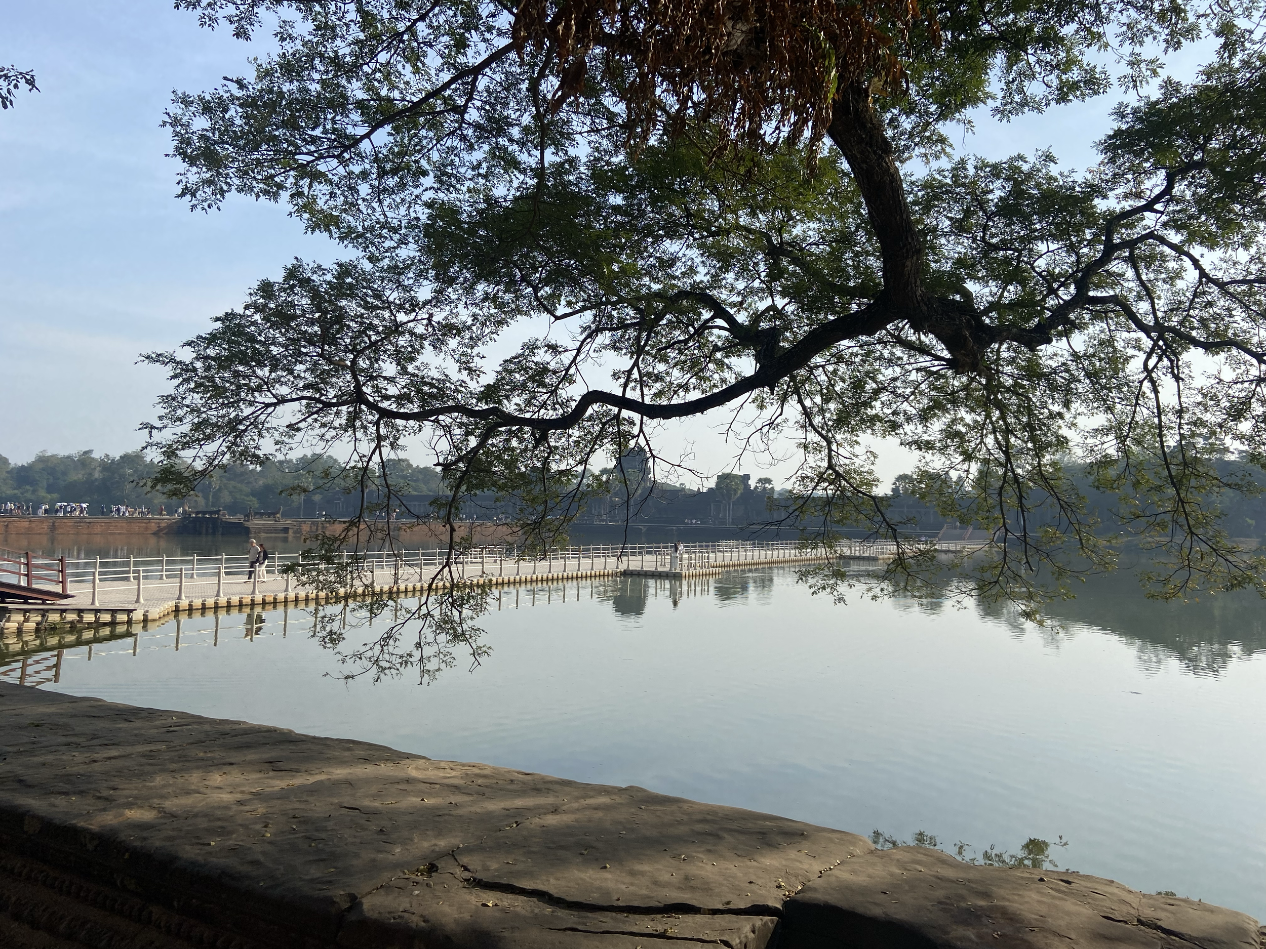 A calm body of water with a wooden walkway extending along the edge, under a large tree with sprawling branches and green leaves, creating a shaded area, with a person walking along the path.