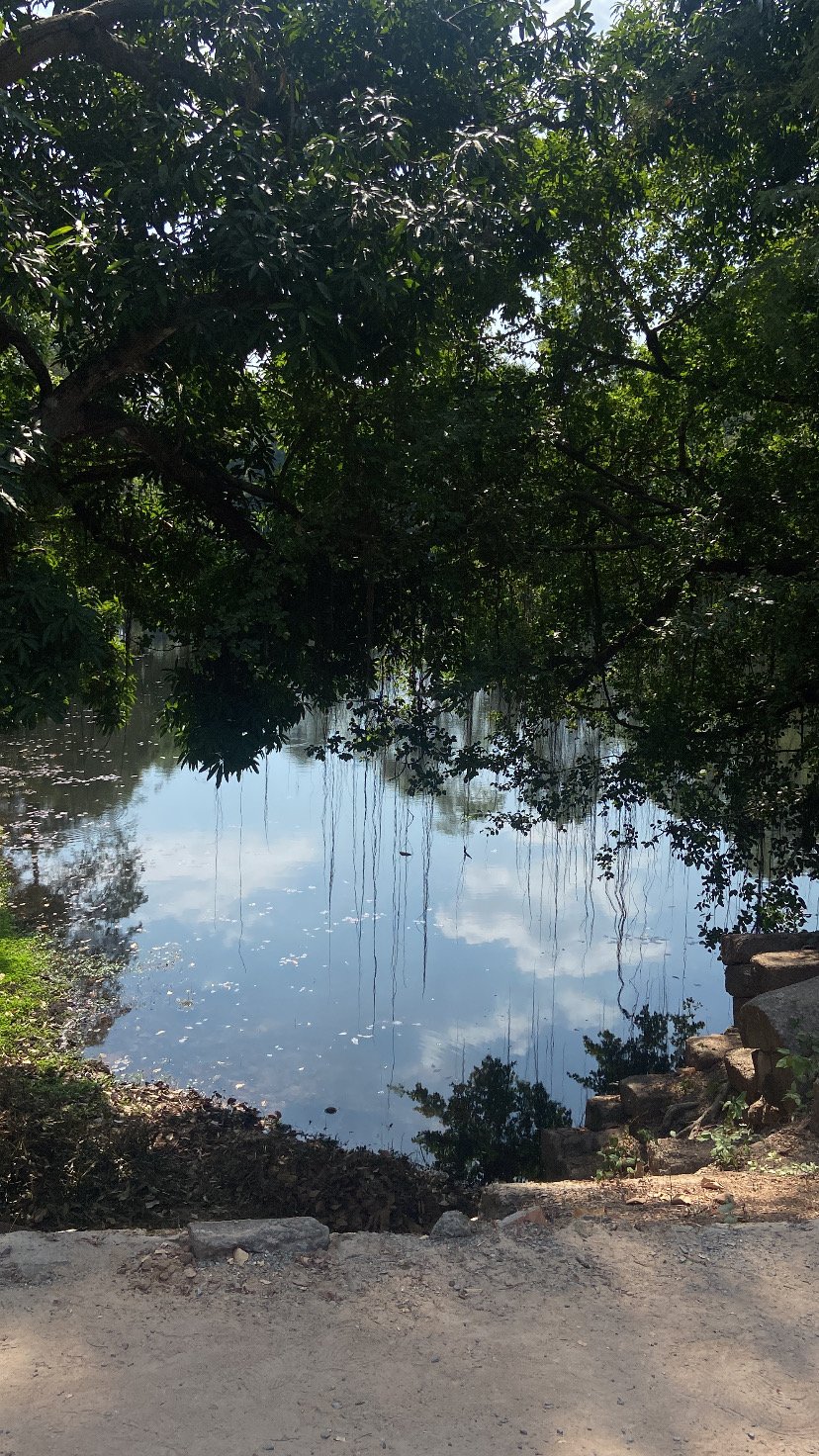 A calm river reflecting the sky and trees, with overhanging branches and rocks along the riverbank.