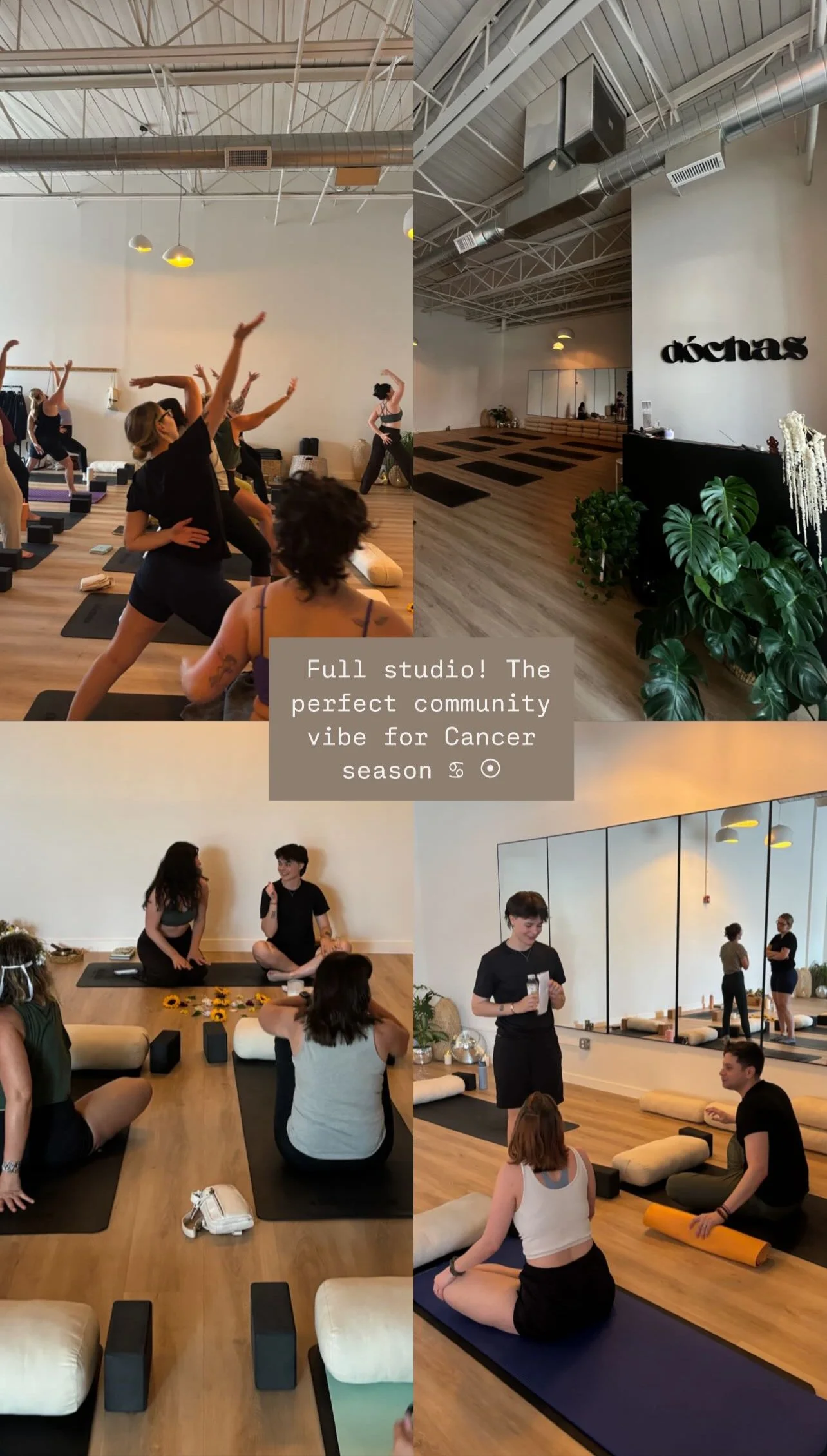 Four images of a fitness studio with people participating in yoga and meditation classes, along with a reception desk, plants, mirrors, and a sign that says 'dòchas'.