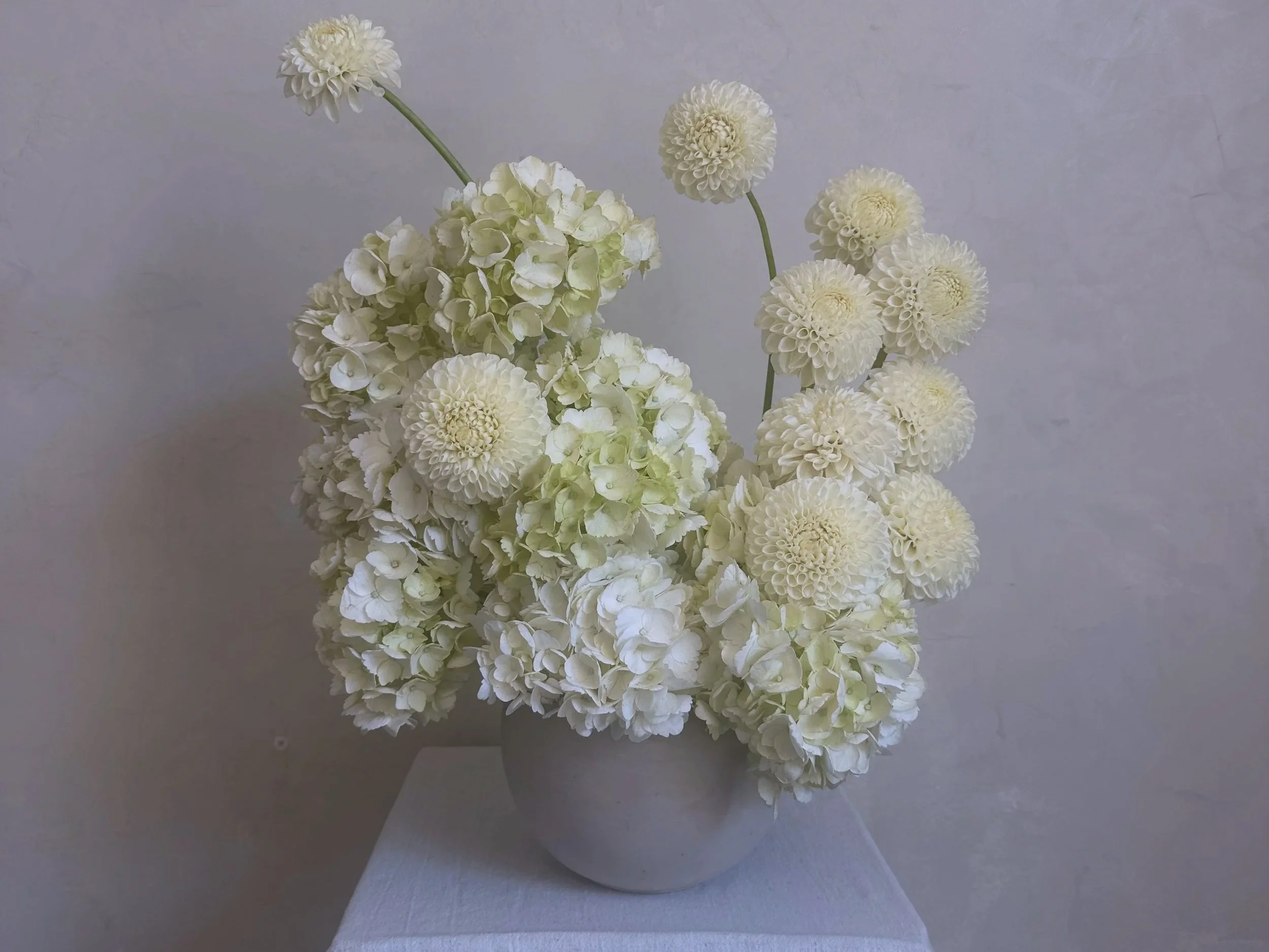 White floral arrangement with large round hydrangeas and dahlias in a beige vase on a white surface against a neutral wall.