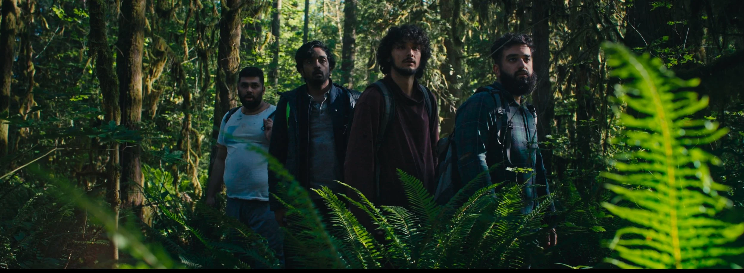 Four young men hiking through a lush, green forest with dense trees and ferns.