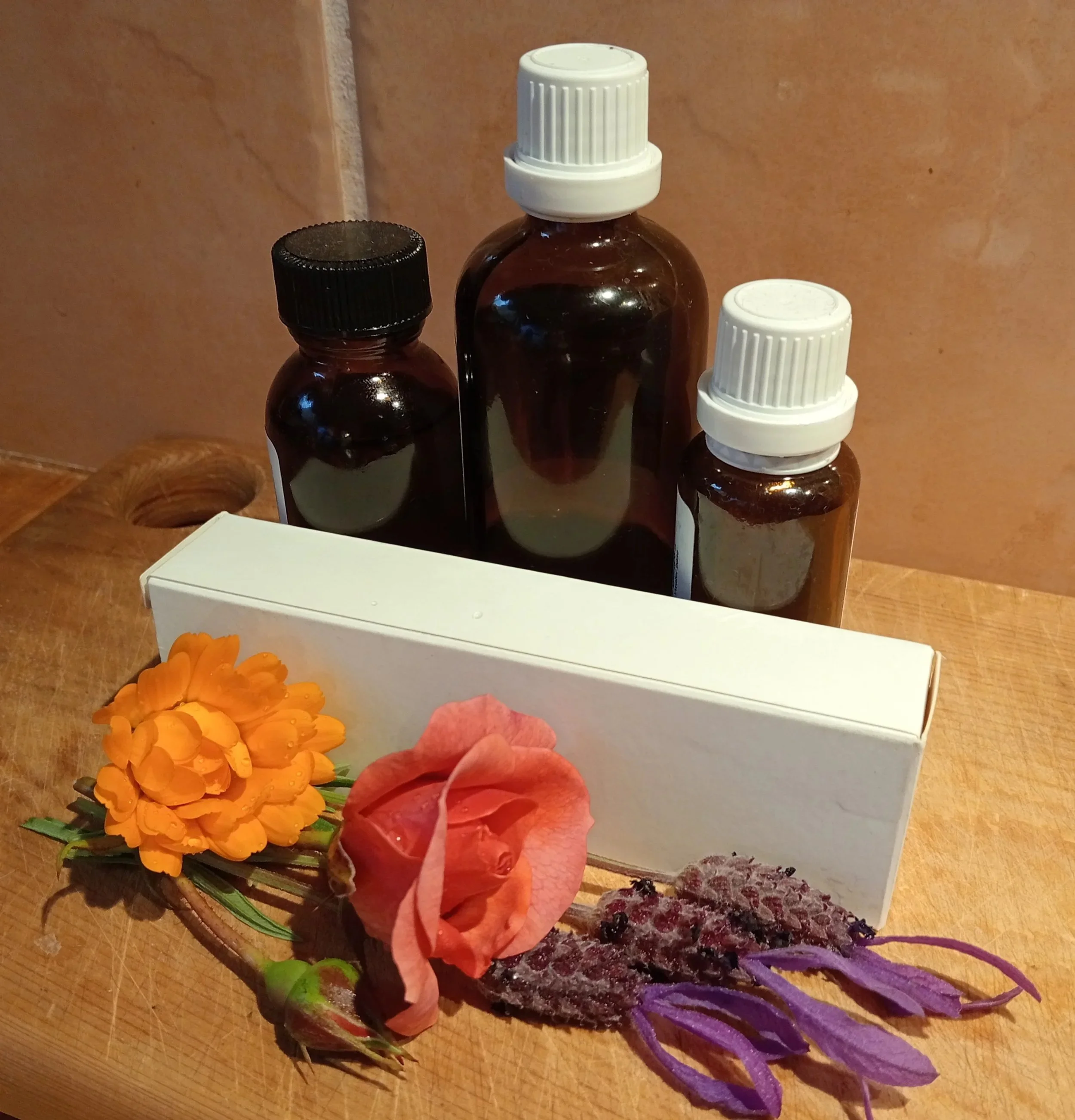 anthroposophical remedies