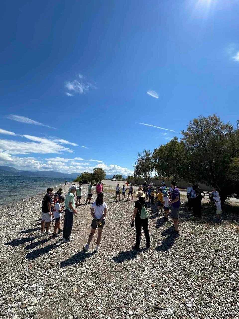 Ομάδες Εφήβων