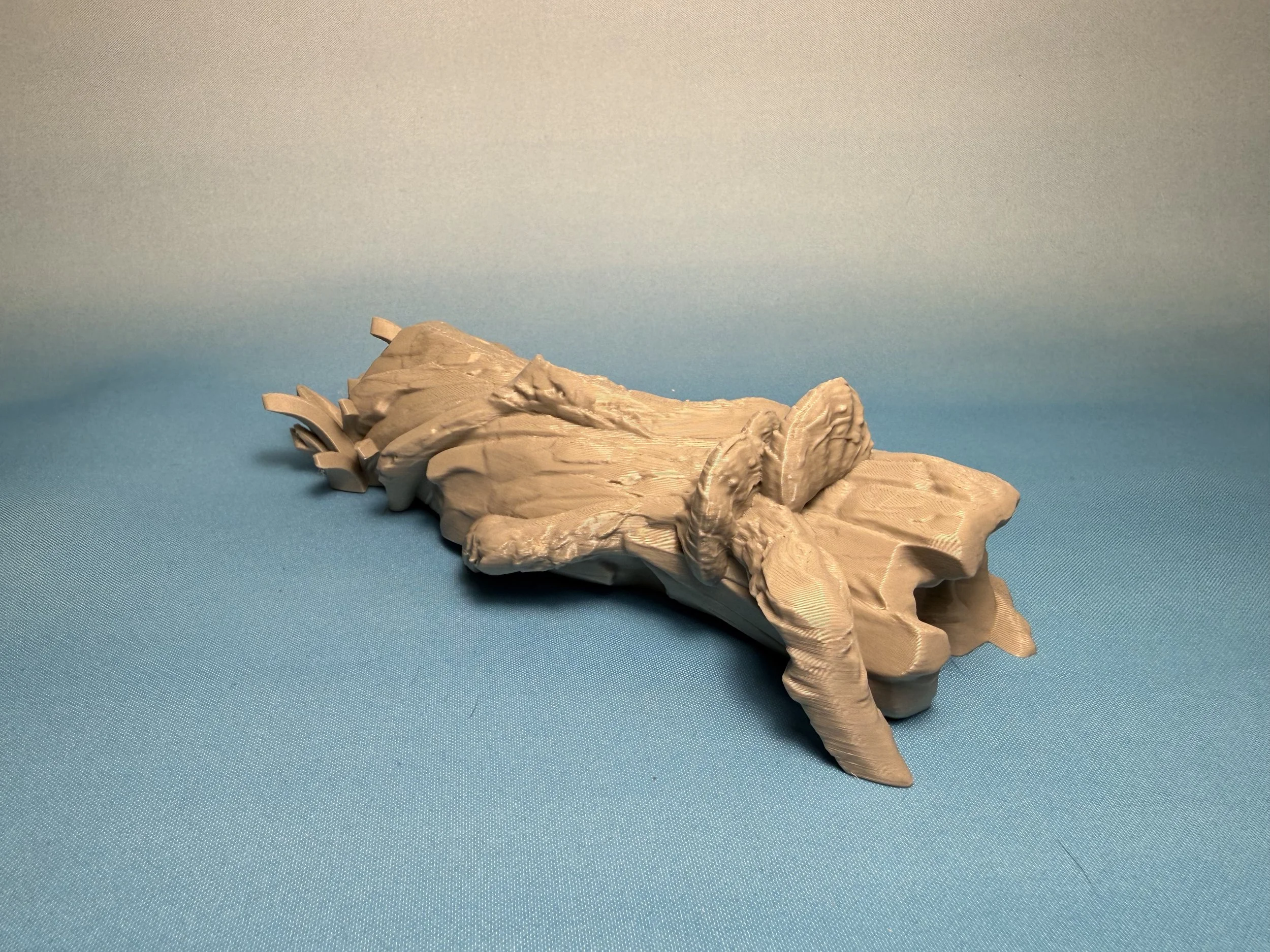 IMG_4304.jpeg