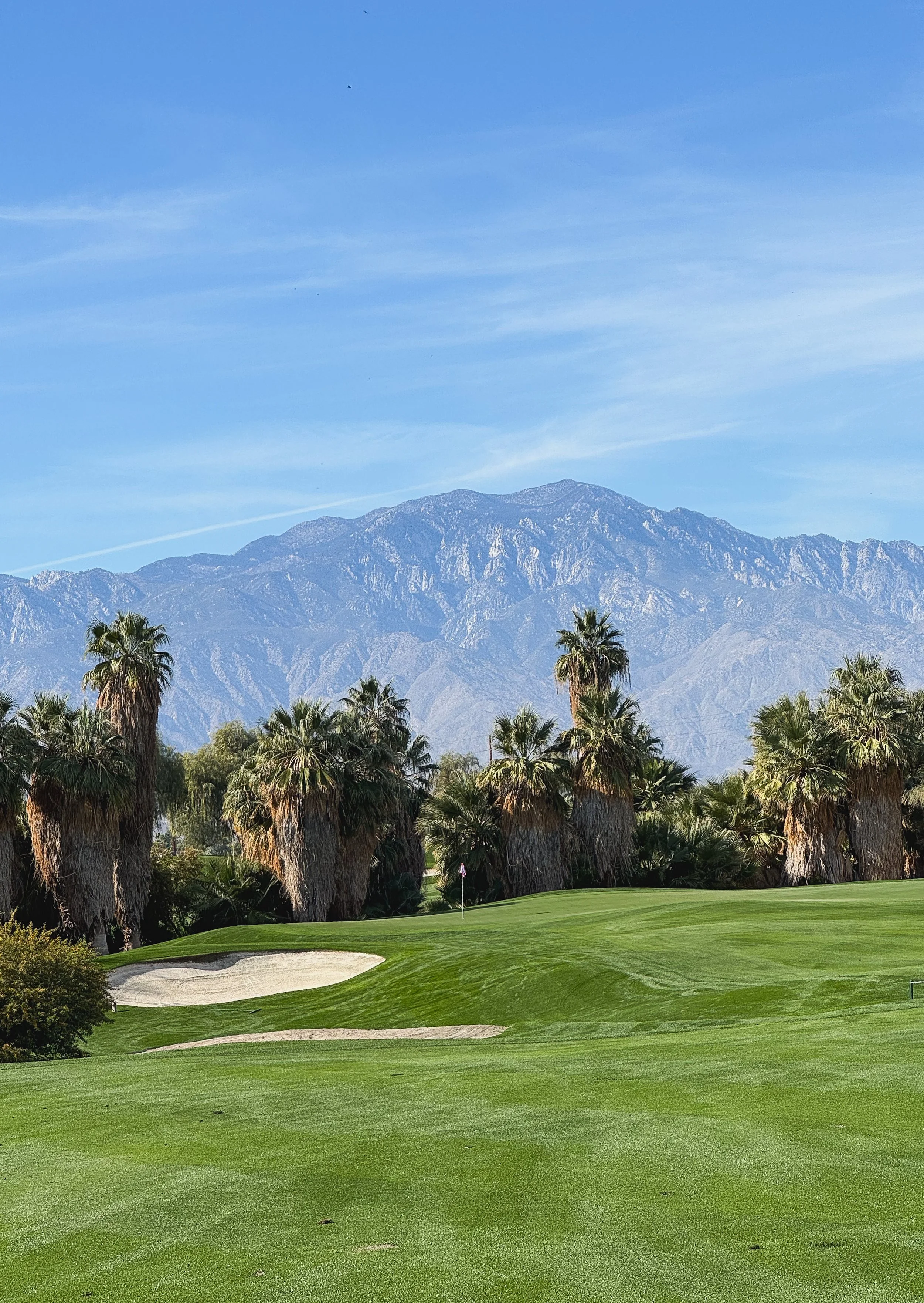 A scenic golf course with green grass and sand trap, surrounded by tall palm trees and mountains in the background under a clear blue sky.