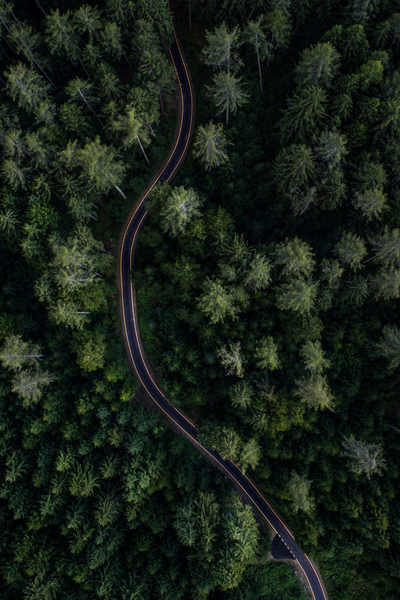 Aerial photo of narrow road winding through wooded area