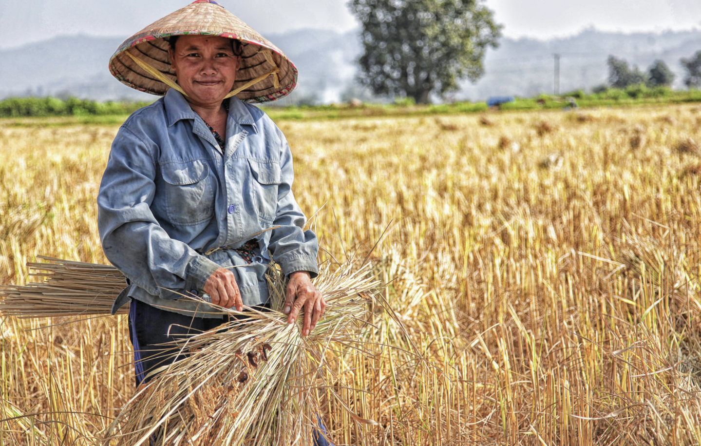 The Future of Food: Can New Tech Power a Sustainable Food Supply?