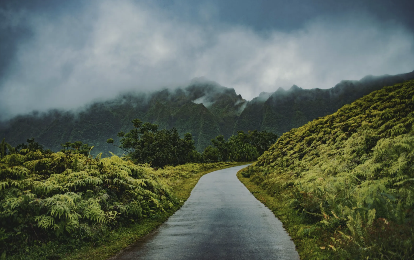 EUDR Deep Dive Part 2: Unraveling the Compliance Maze