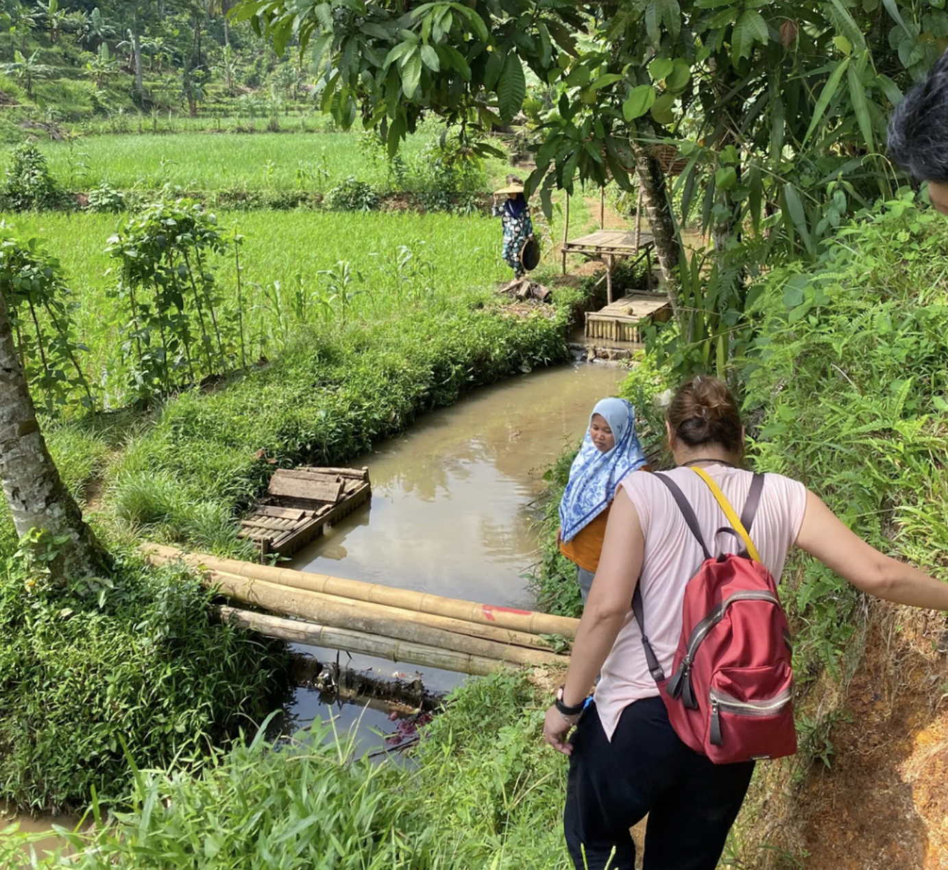GreenAnt visits Indonesia