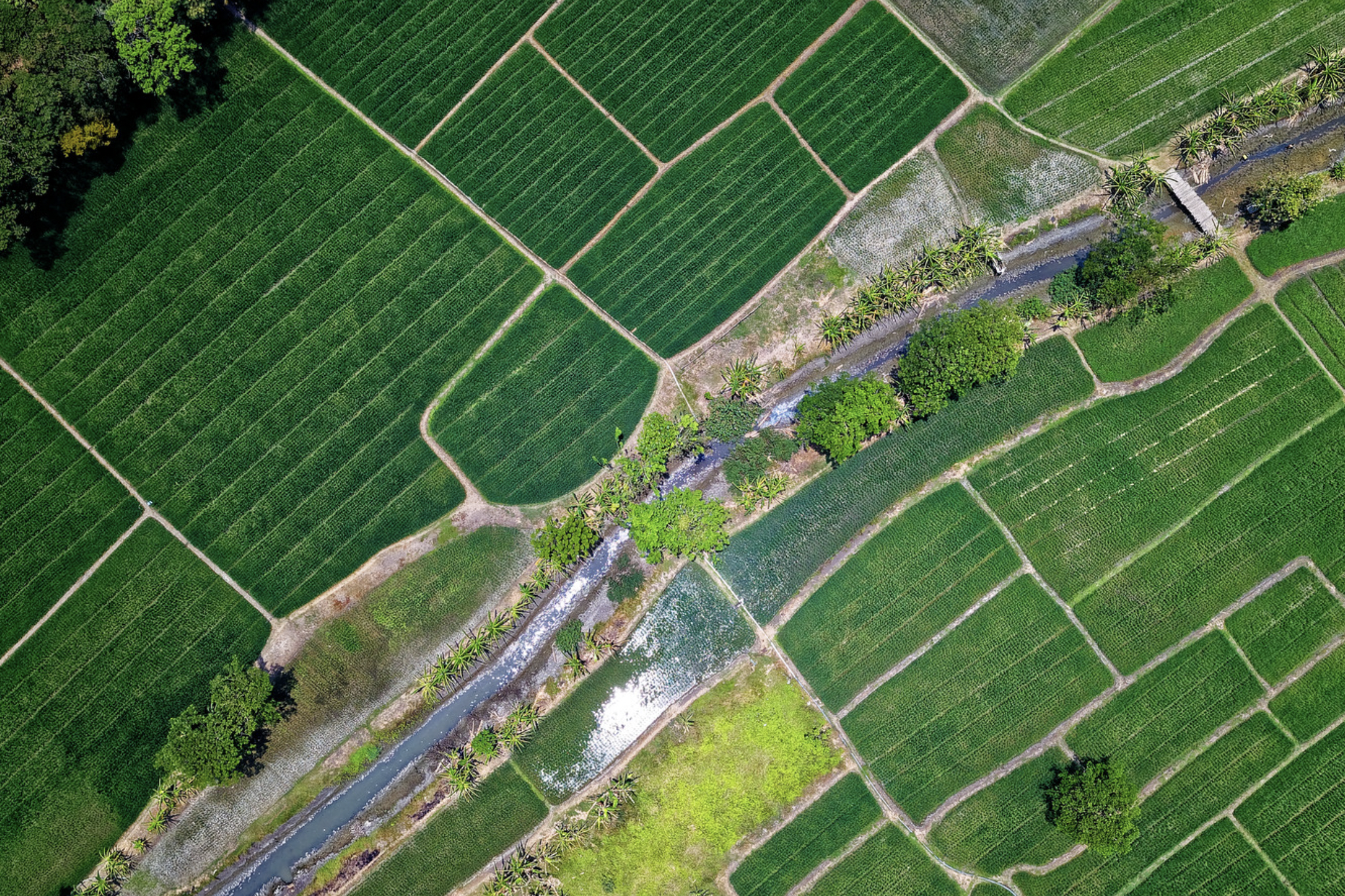 Aerial view of farmland divided into parcels, transected by a turquoise stream