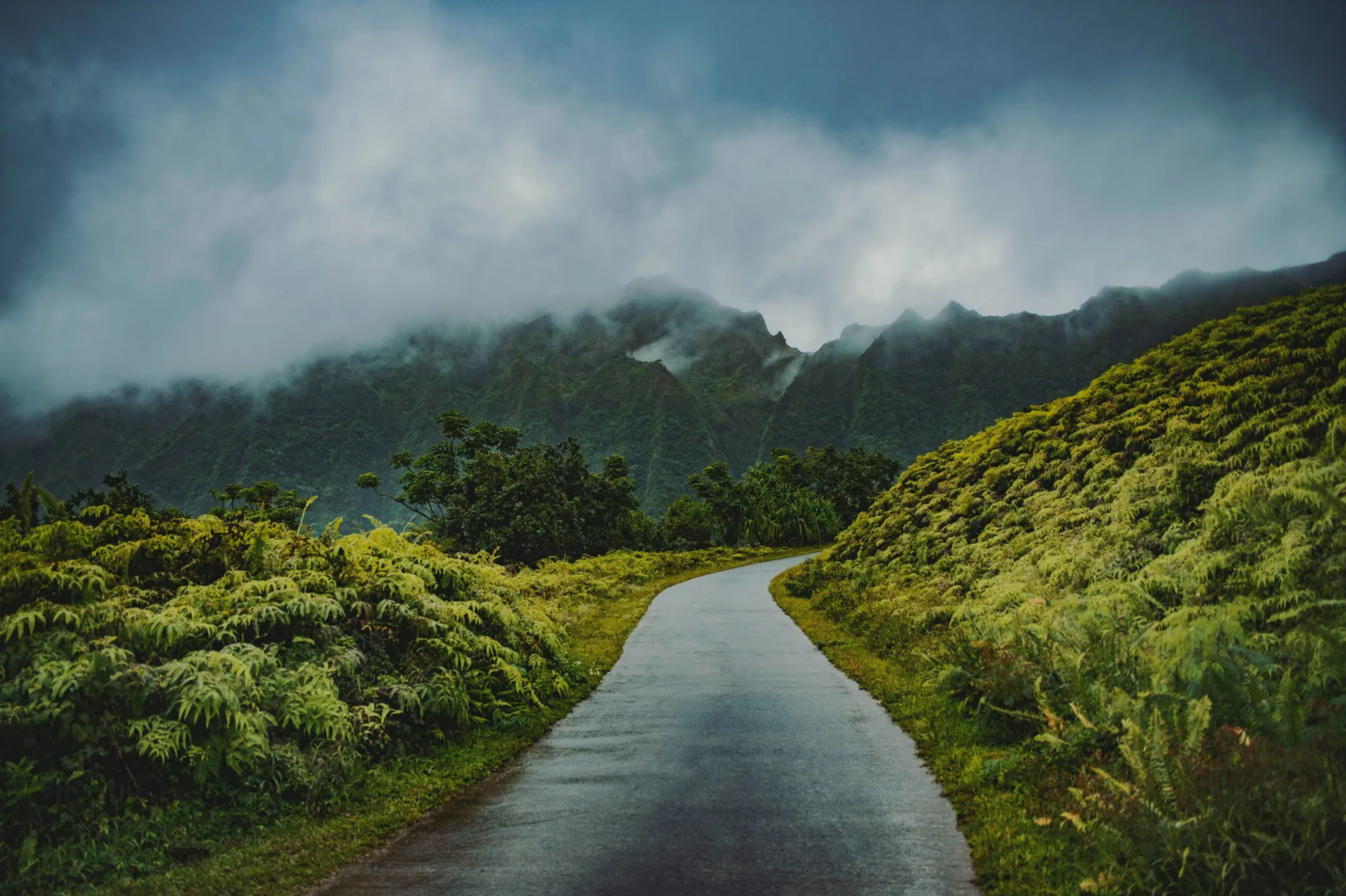 Photo of a mountain road with misty forest in background