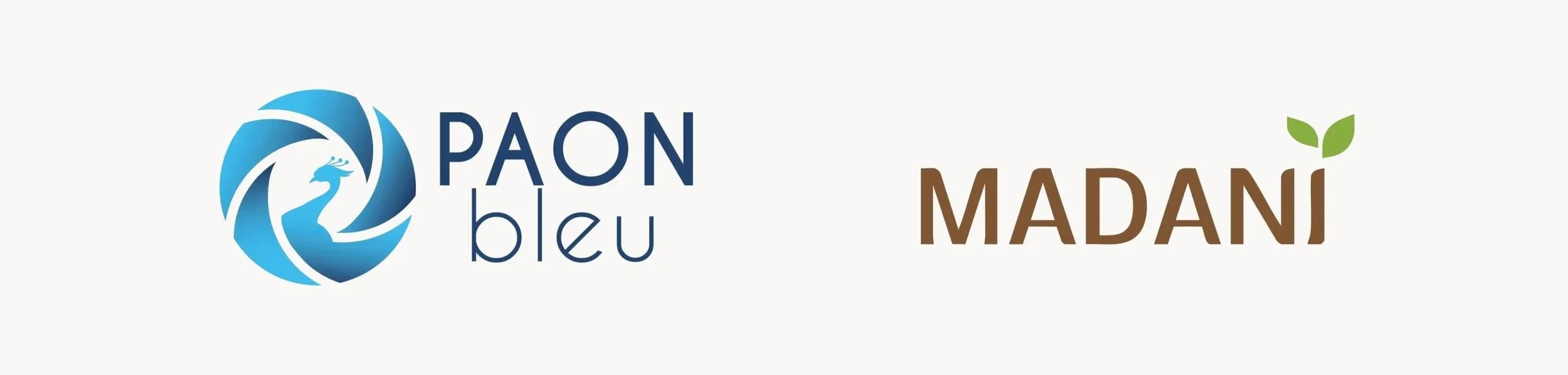 Madani partner logo