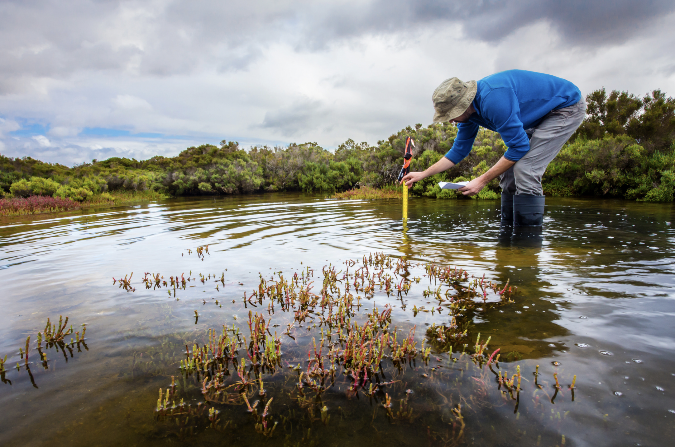 Man taking a depth measurement in a shallow body of water