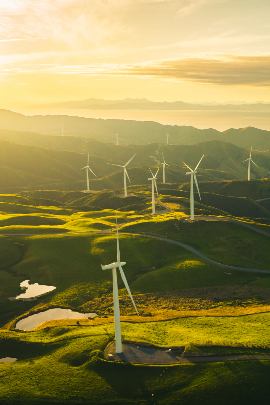 Wind turbine farm