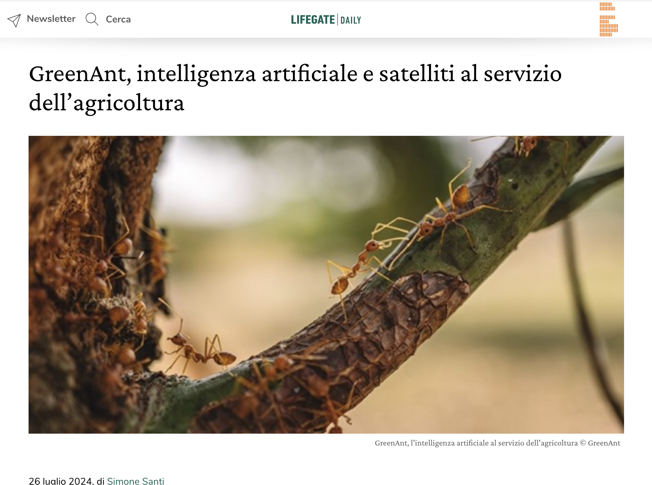 Lifegate Daily GreenAnt Article Graphic