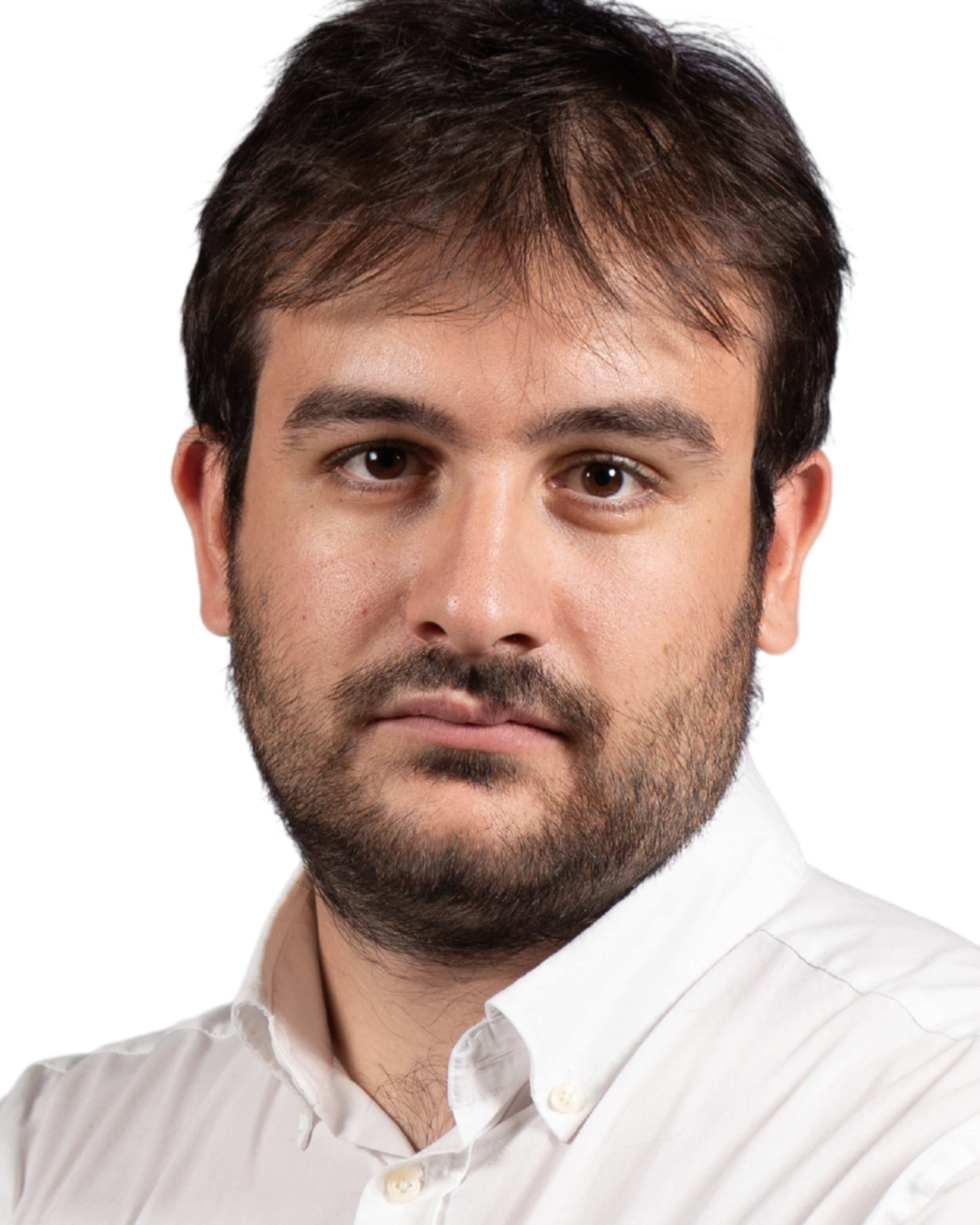 Head shot photo of GreenAnt CEO Mario Simmaco