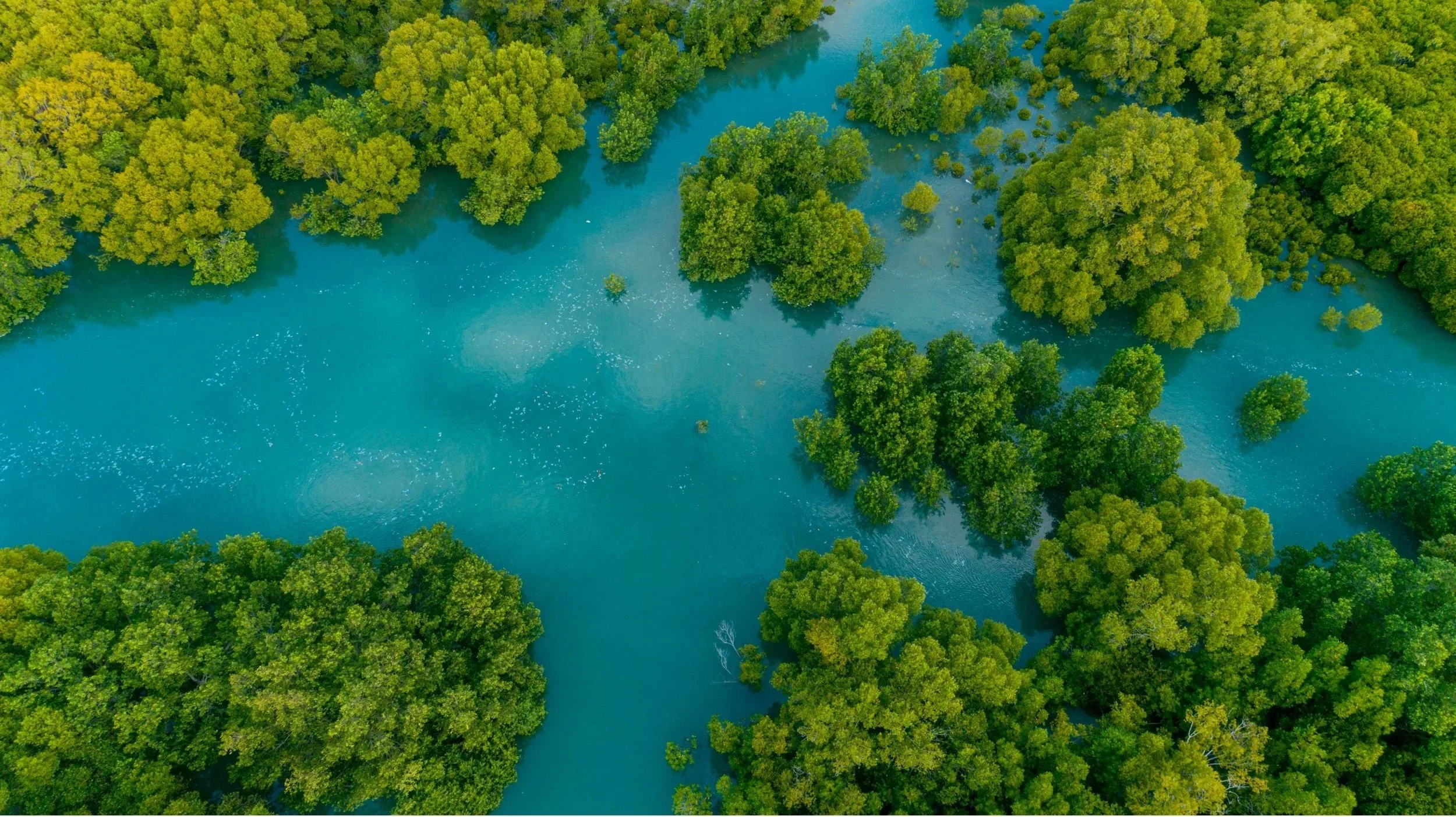Aerial view of Blue River