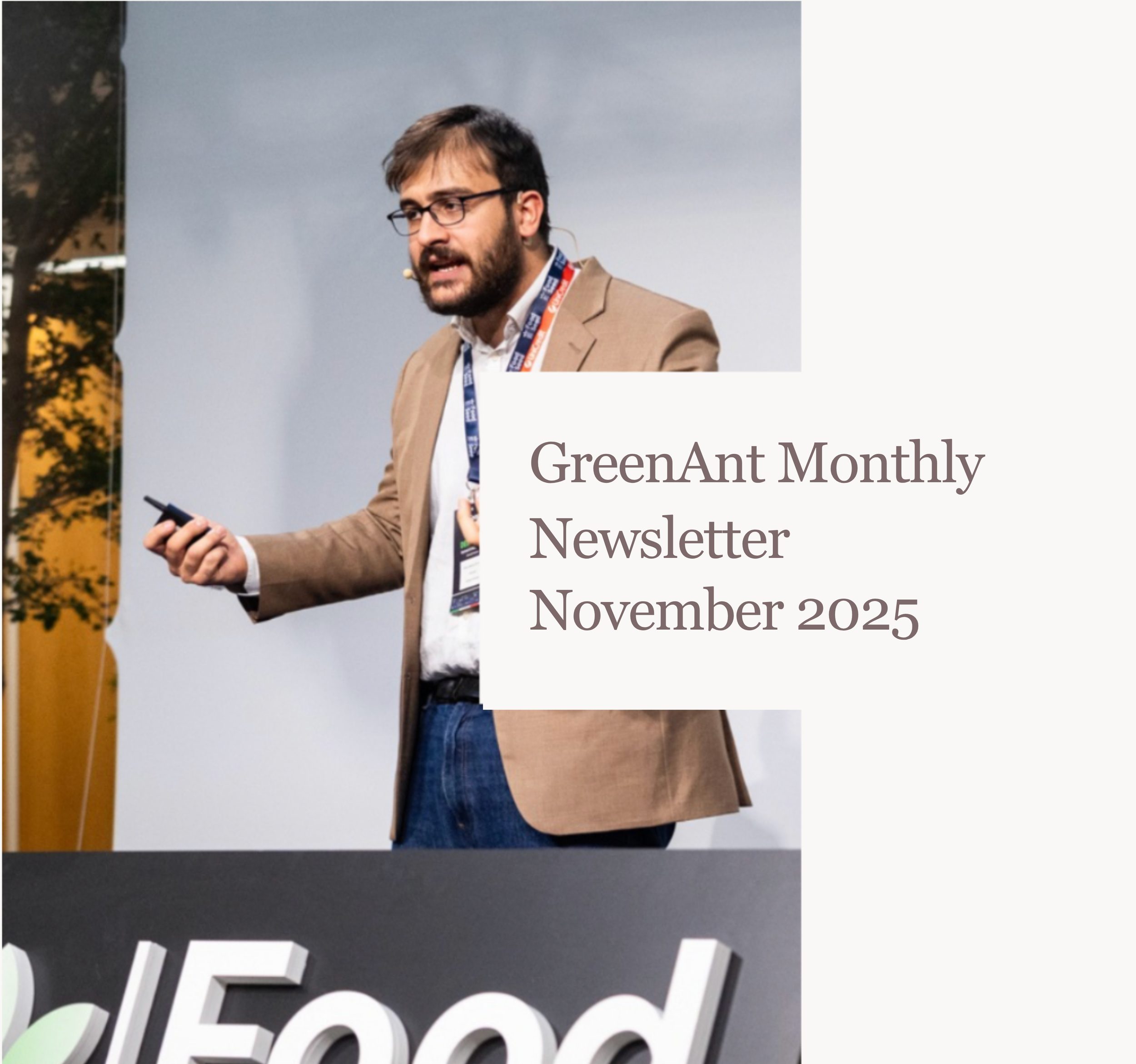 November 2025 Newsletter Graphic