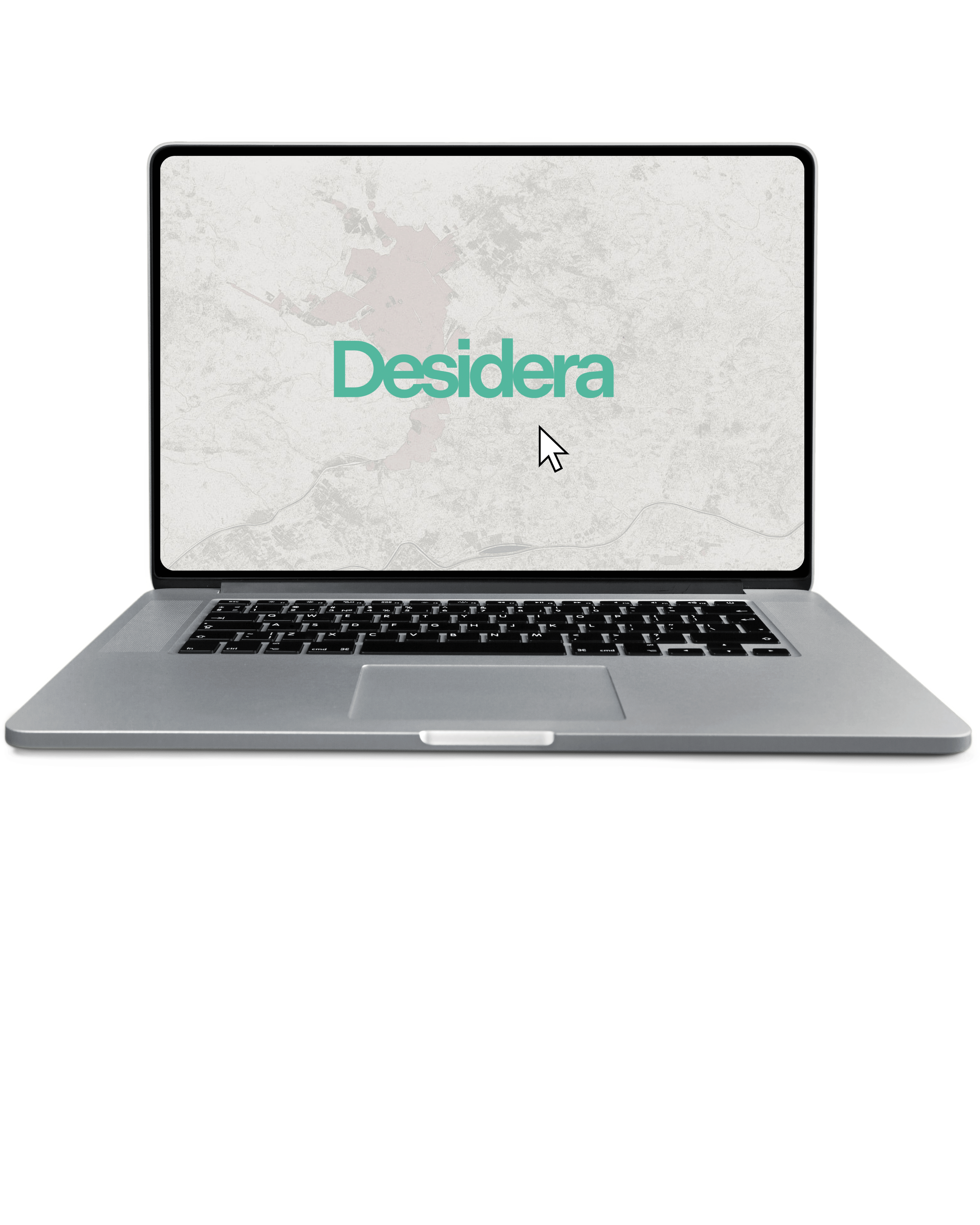 Laptop displaying Desidera interface