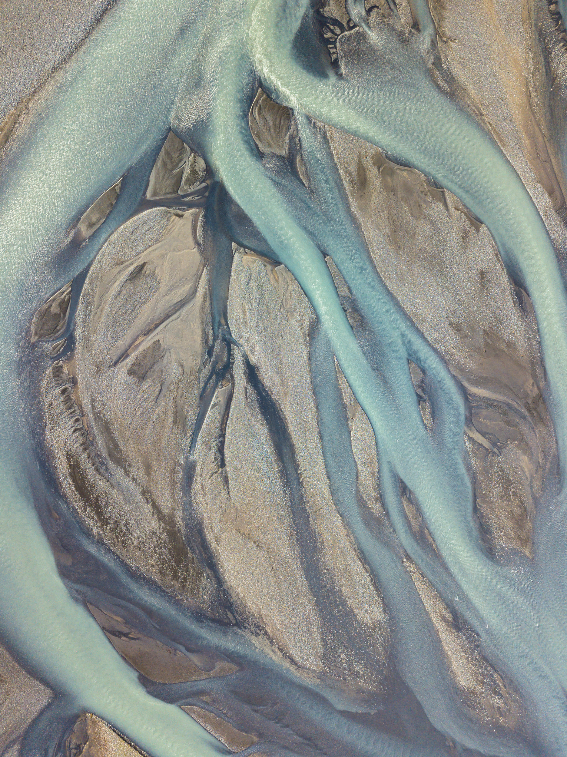 Abstract image or closeup photo showing forms resembling veins or tree roots
