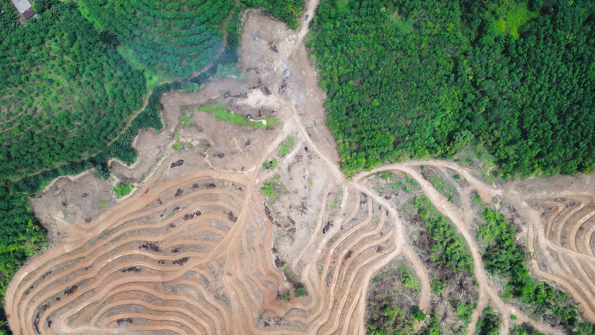 Aerial photo of terraced earthworks