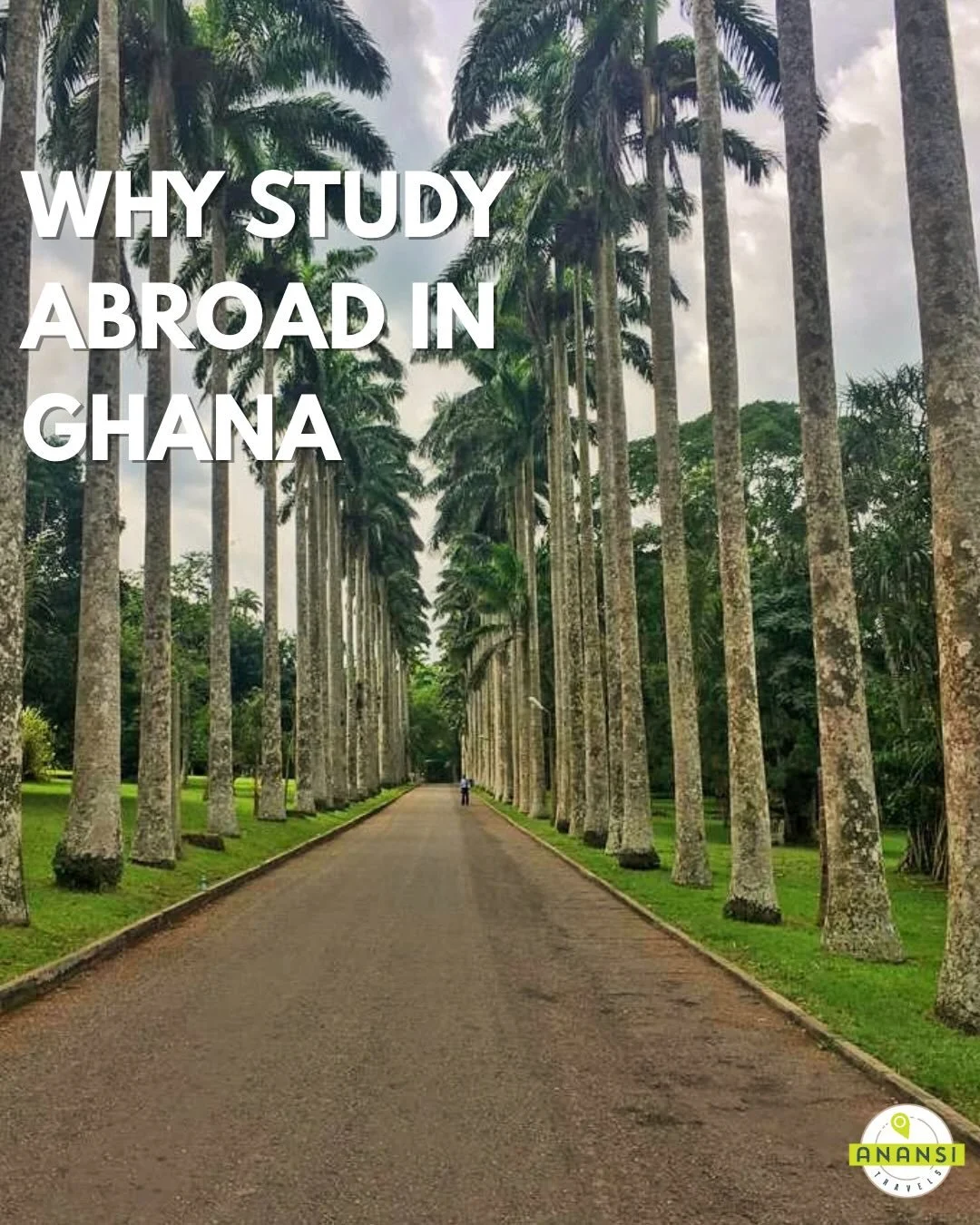 Interested in our summer study abroad program in Ghana? Swipe through to see why Ghana should be top of your study abroad destination. 

Applications are open for our summer study abroad program.

If you would like to learn more about the program, at