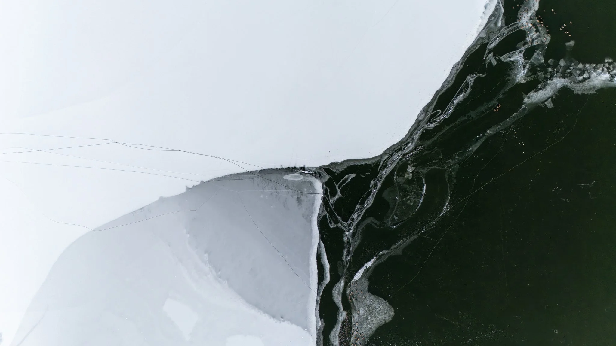 Close-up of an ice and water surface with intricate veining and textured details.