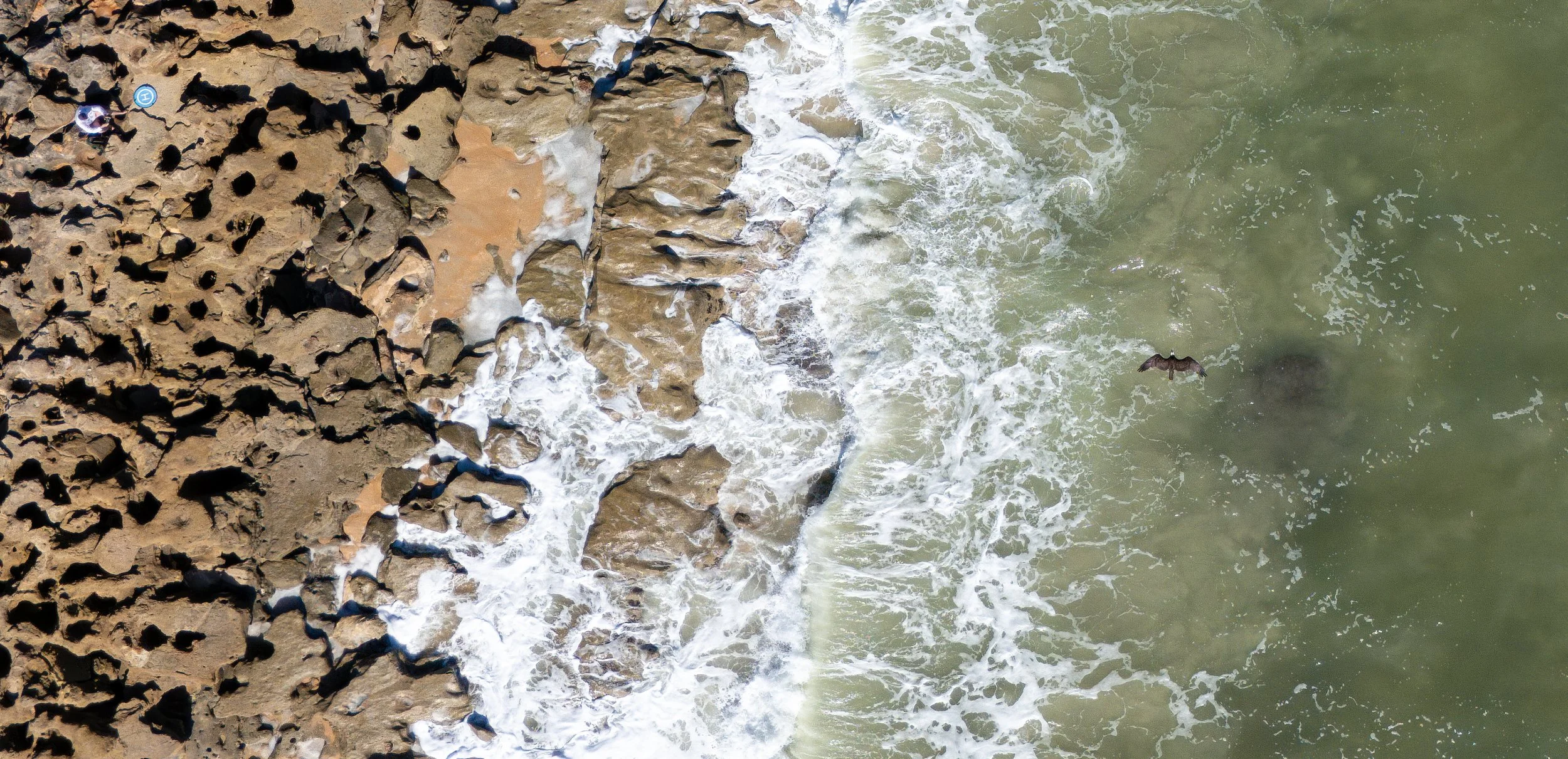 Aerial view of rocky coastline with waves crashing onto the shore and a bird flying over the ocean.