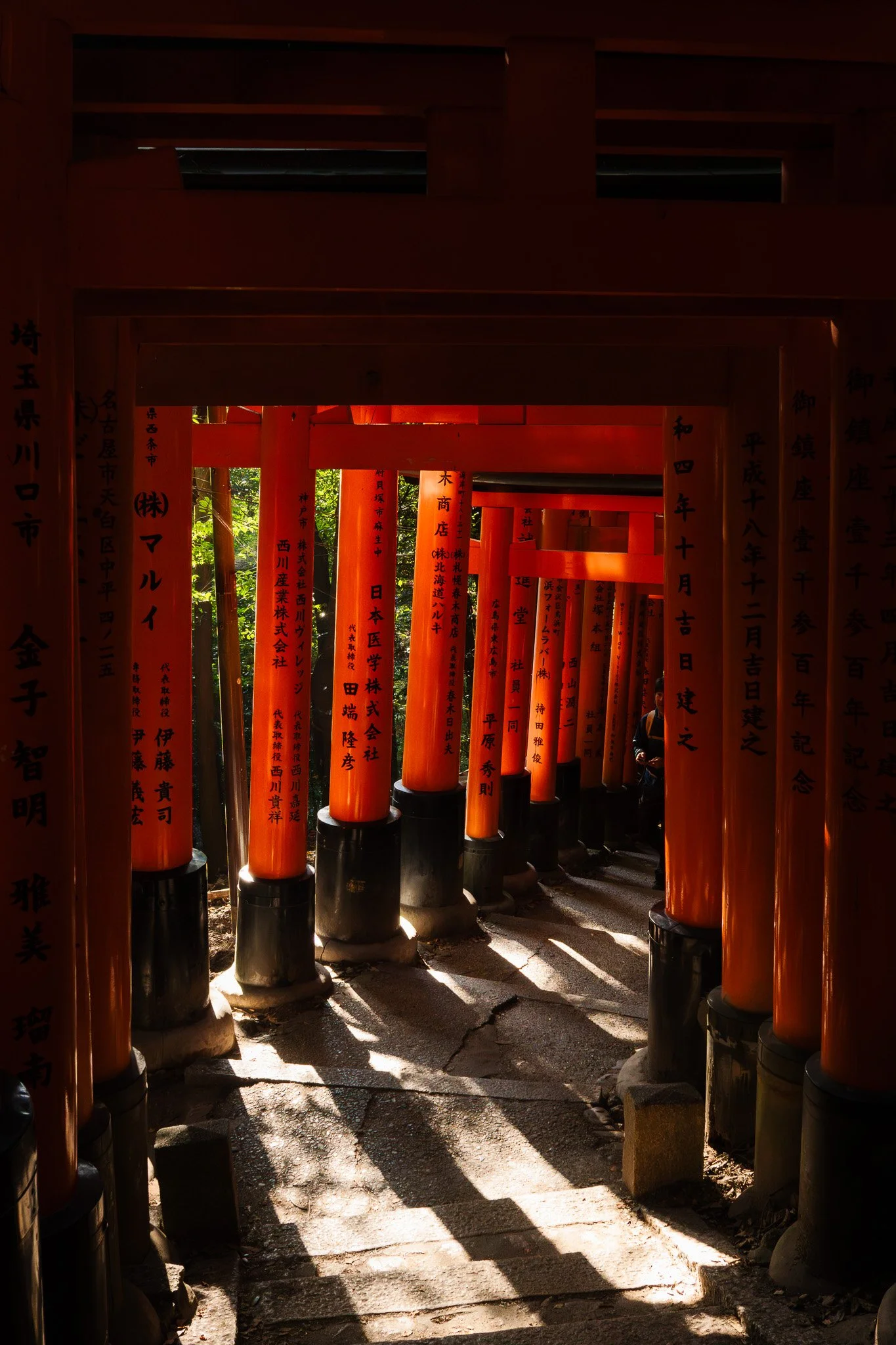 A pathway lined with numerous bright red torii gates at Fushimi Inari, with sunlight casting shadows on the stone ground.