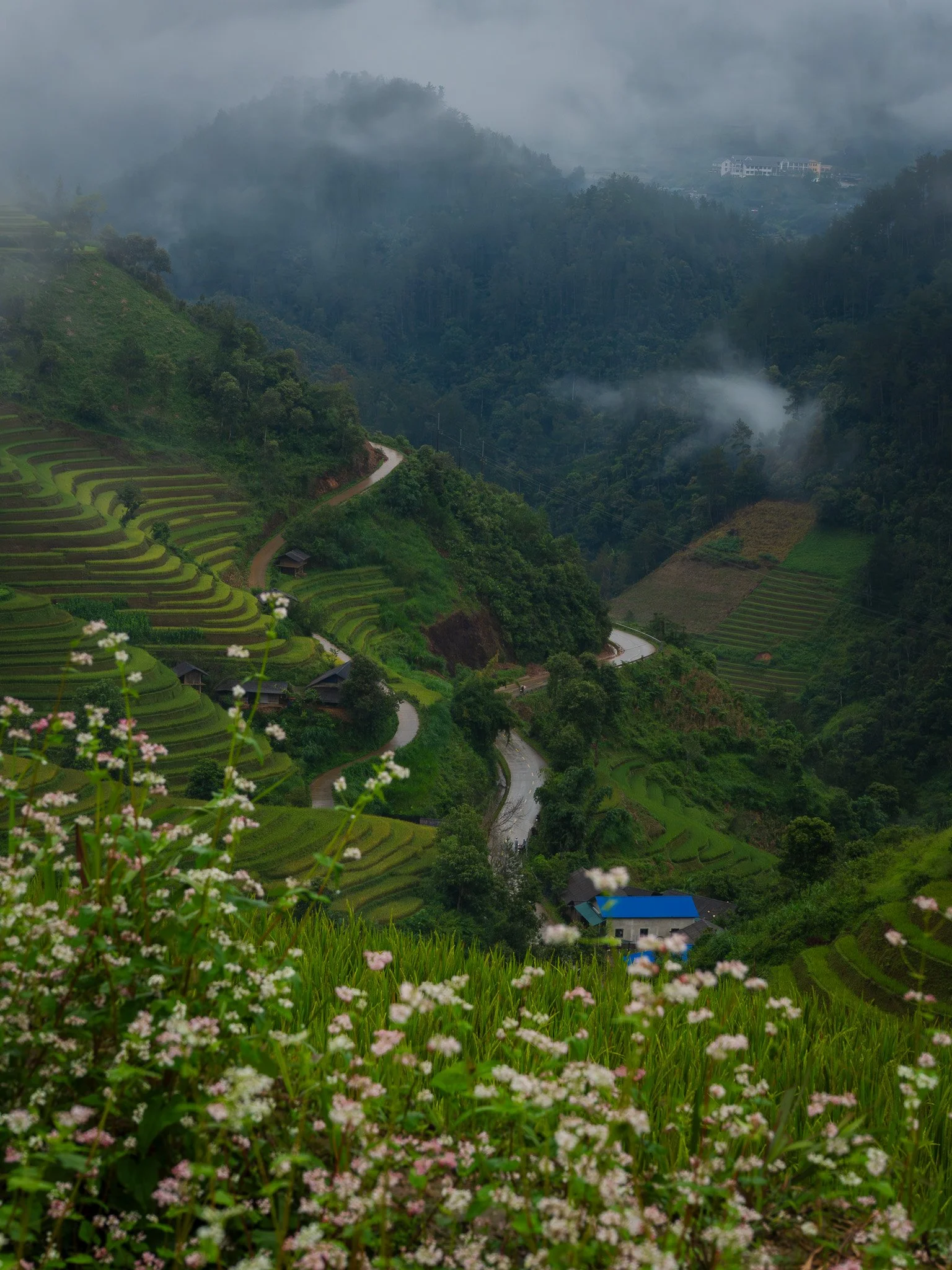 Lush green terraced rice fields on a mountain hillside with a winding road and small houses, misty mountains in the background.