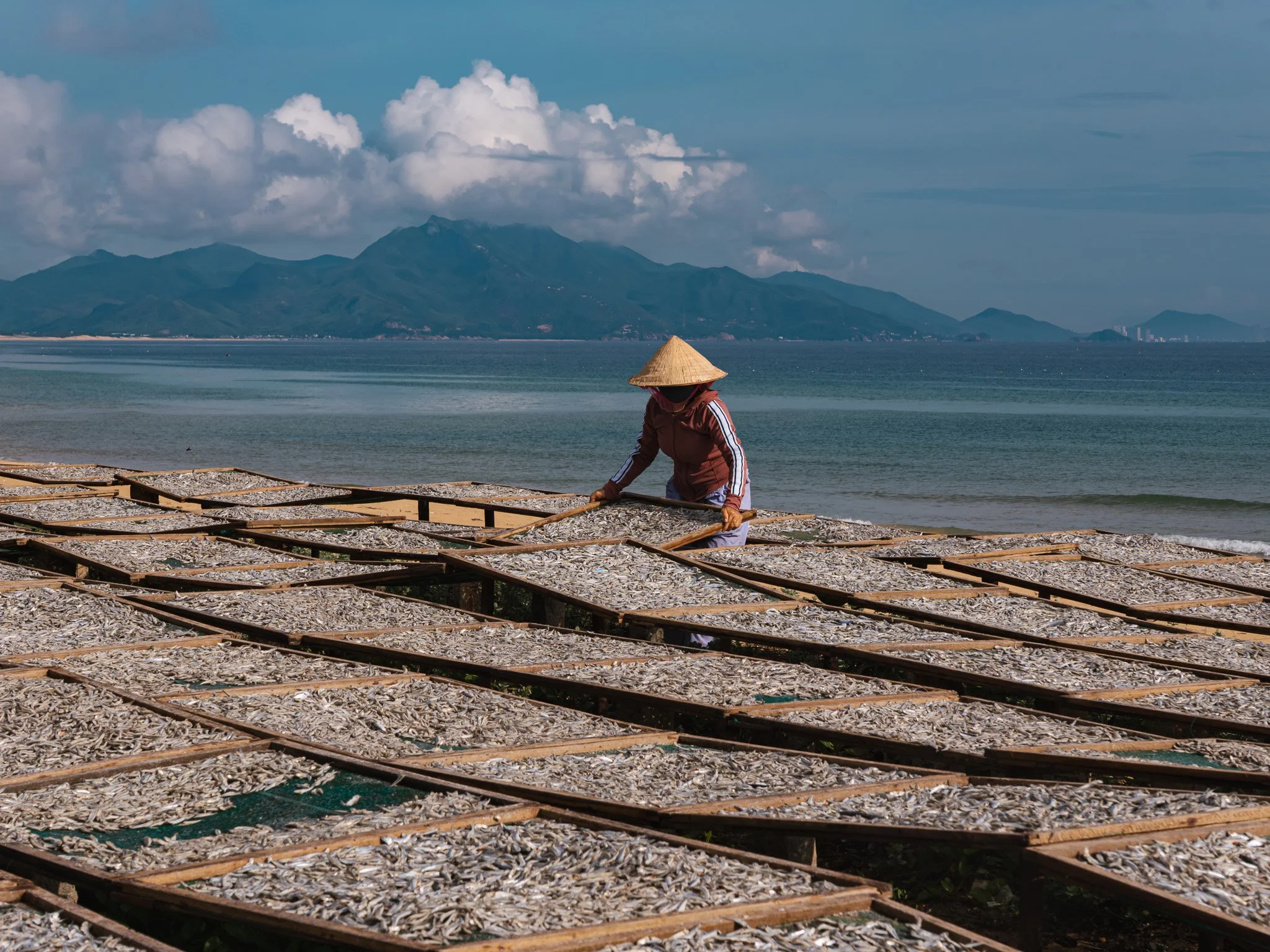 A person wearing a conical straw hat and a brown jacket is working on a large outdoor fish drying rack by the ocean, with a mountain range and cloudy sky in the background.