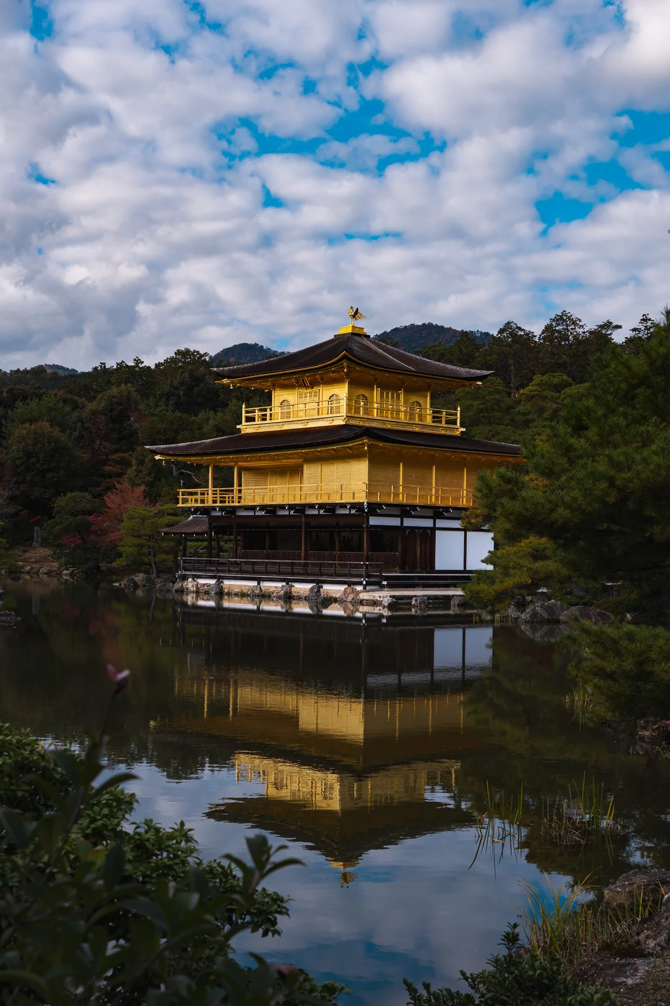 Kinkaku-ji behind a tree with red autumn leaves, sunlight shining through, blue sky and white clouds in the background.