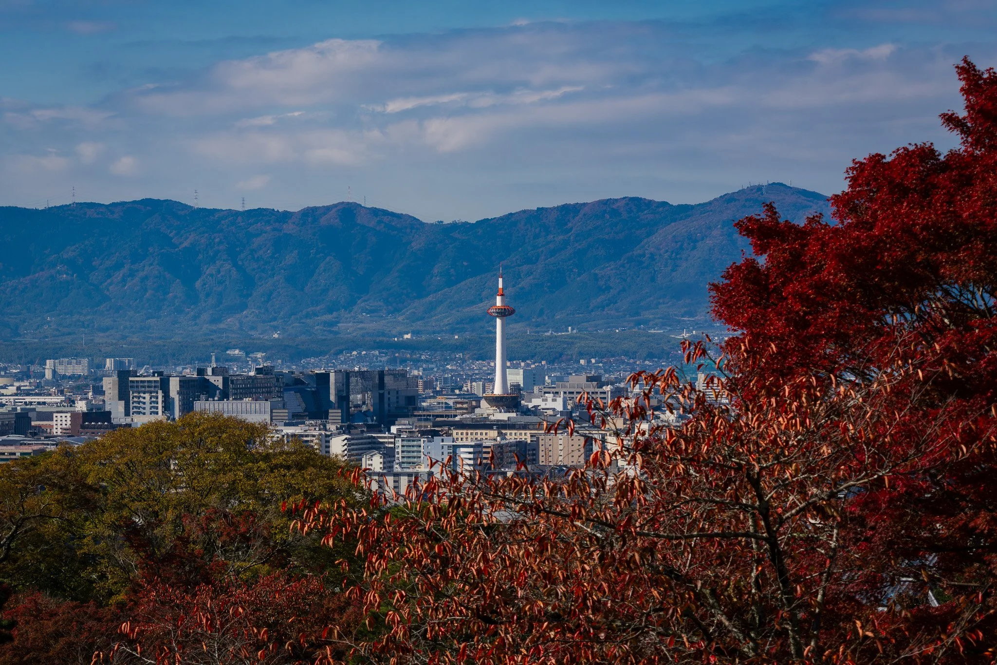 A city skyline of Kyoto taken from from Kiyomizu-dera Temple, framed by red and green autumn trees in the foreground.
