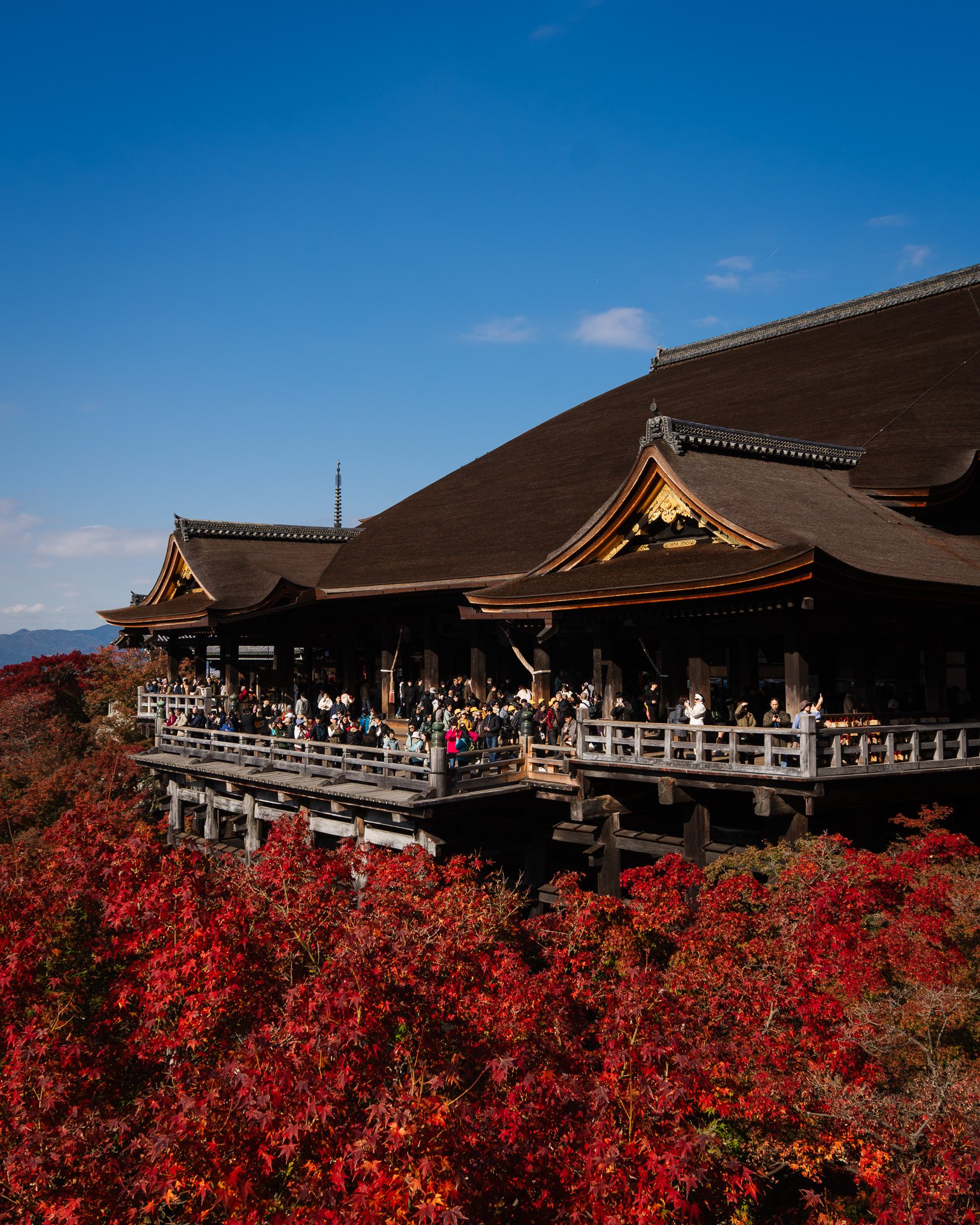 Kiyomizu-dera Temple in Kyoto on a hill, surrounded by red autumn trees, with many visitors on the wooden balcony.