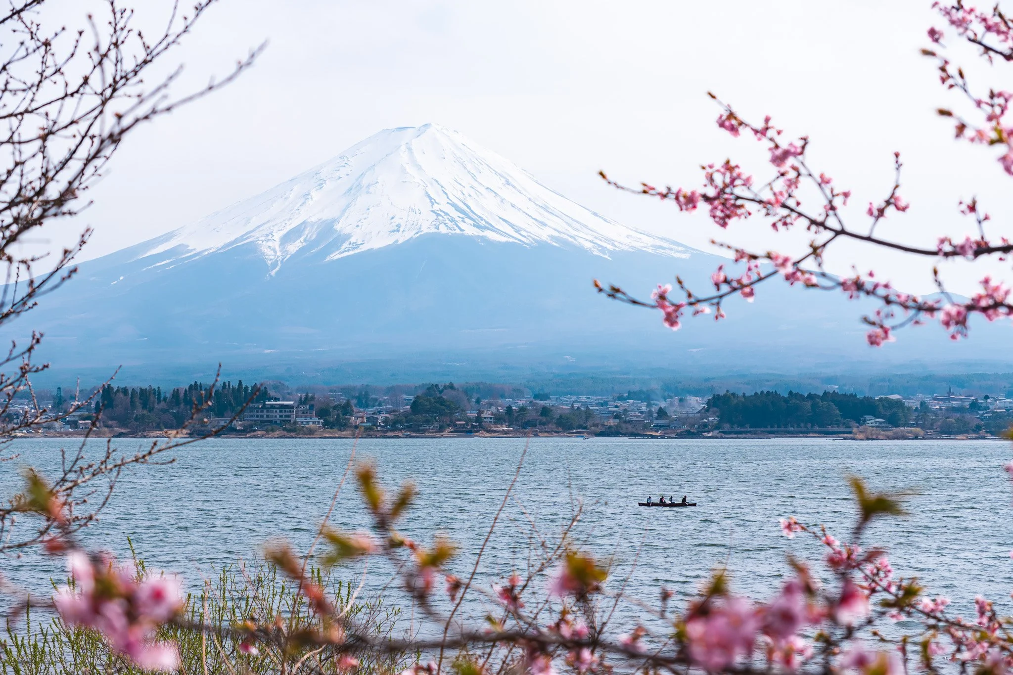 Snow-capped Mount Fuji seen across a lake with pink cherry blossoms in the foreground and a small boat with people on the water