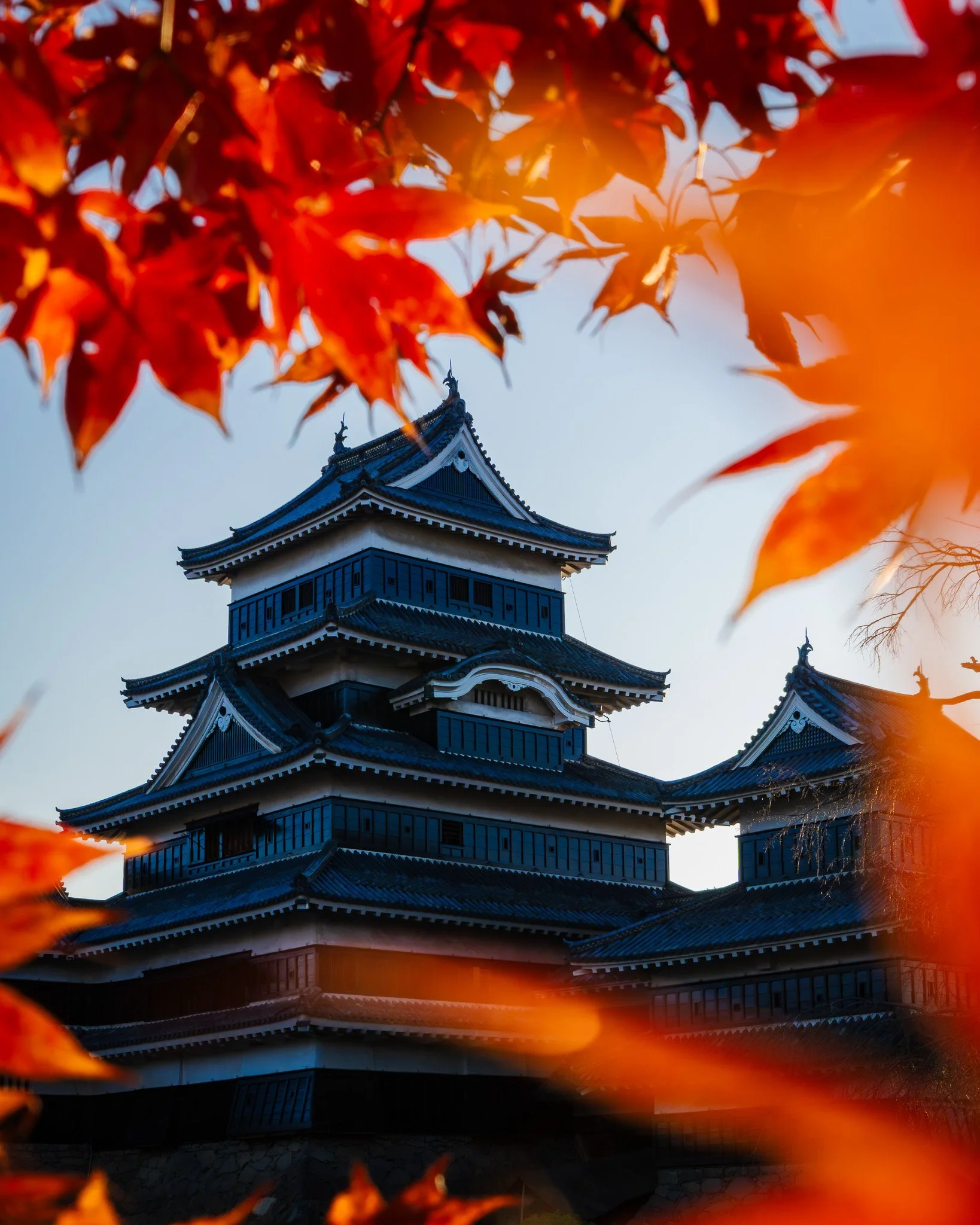 Matsumoto Castle framed by vibrant red and orange autumn leaves with a clear blue sky in the background.