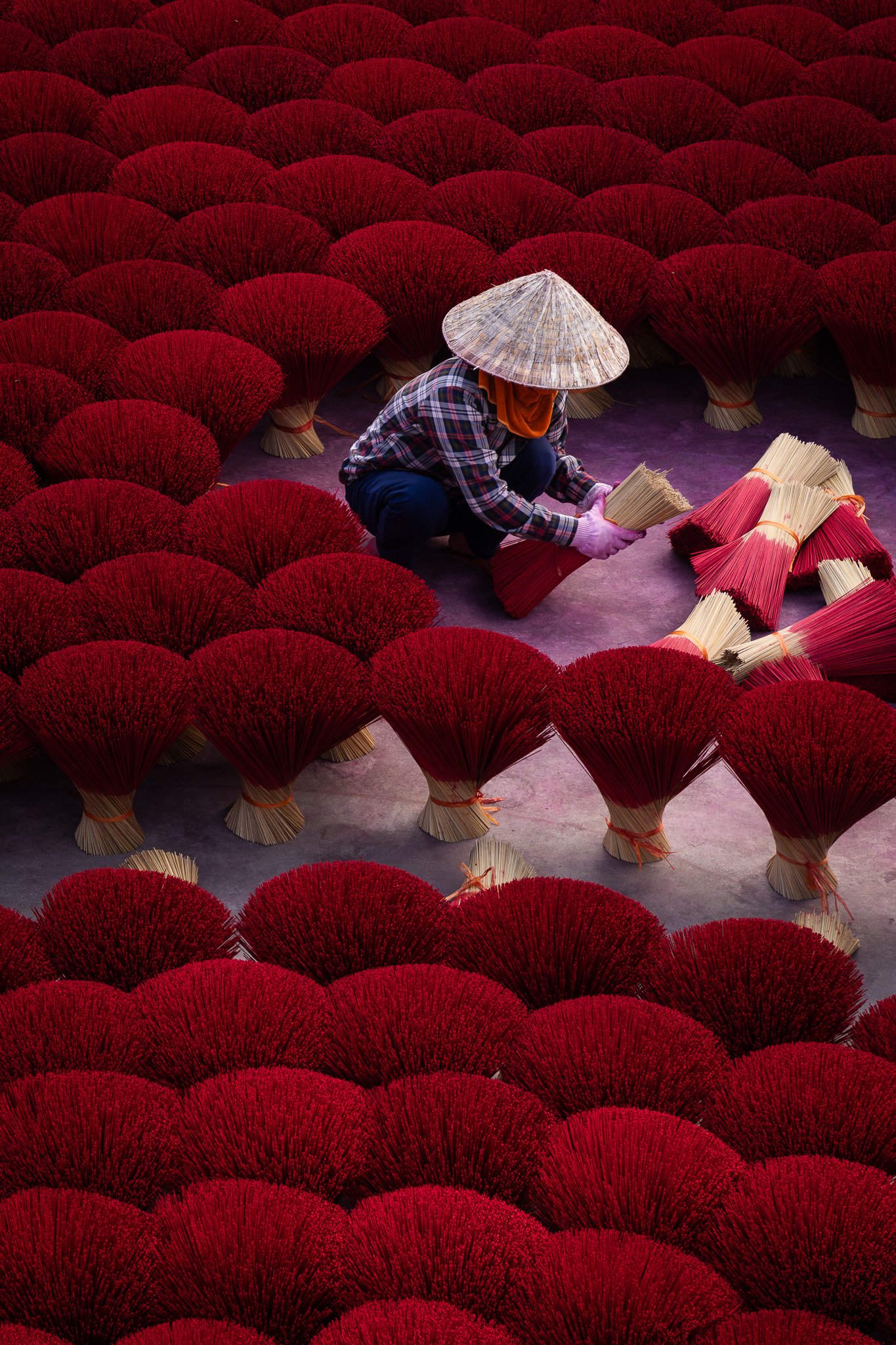 A person wearing a conical hat and plaid shirt is arranging bundles of red and yellow flowers in a large, organized pattern.