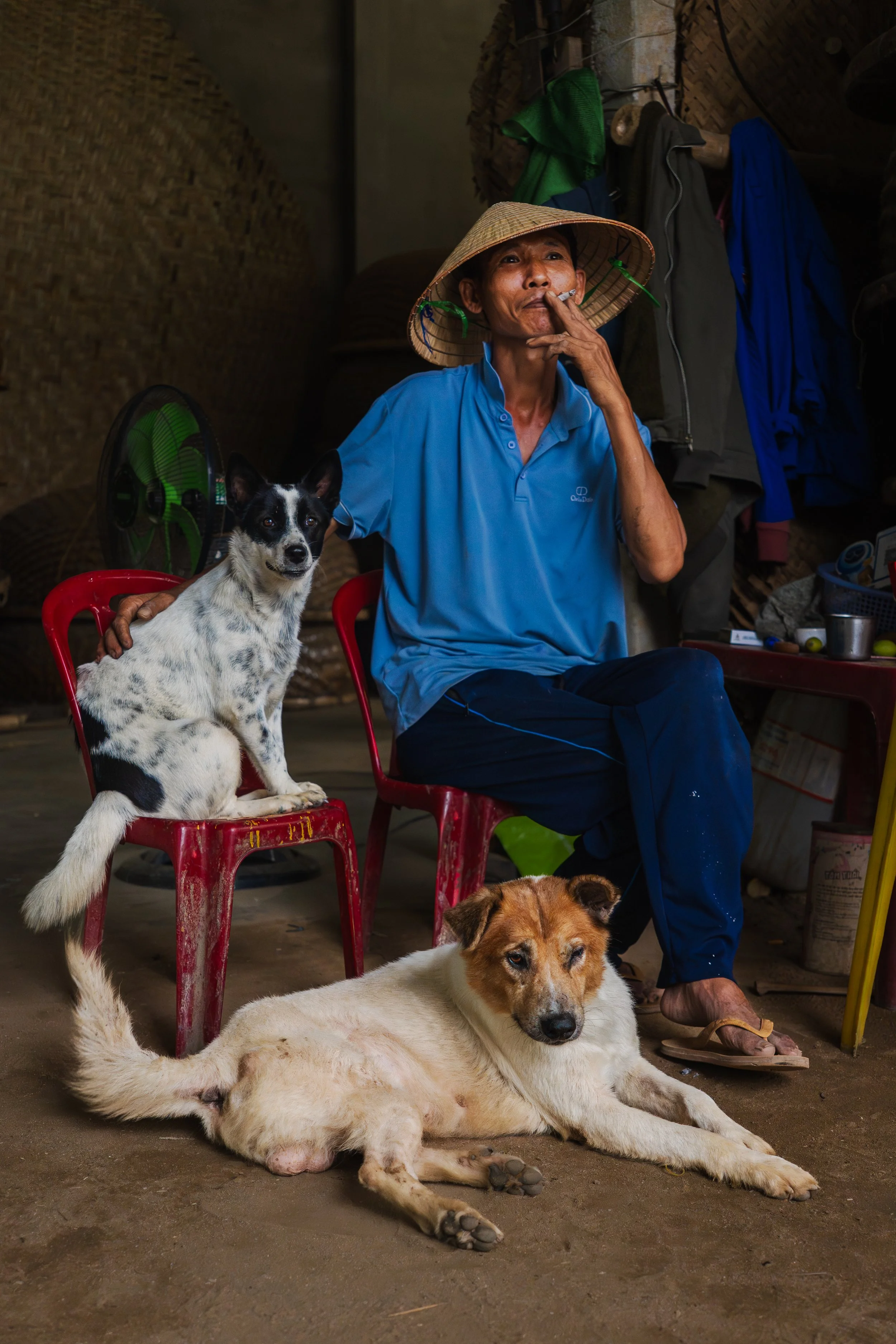 An elderly man with a traditional conical hat, smoking a cigarette, sitting on a red chair, accompanied by two dogs inside a rustic room with brick and bamboo walls, clothing hanging behind him, and a small table with various items.
