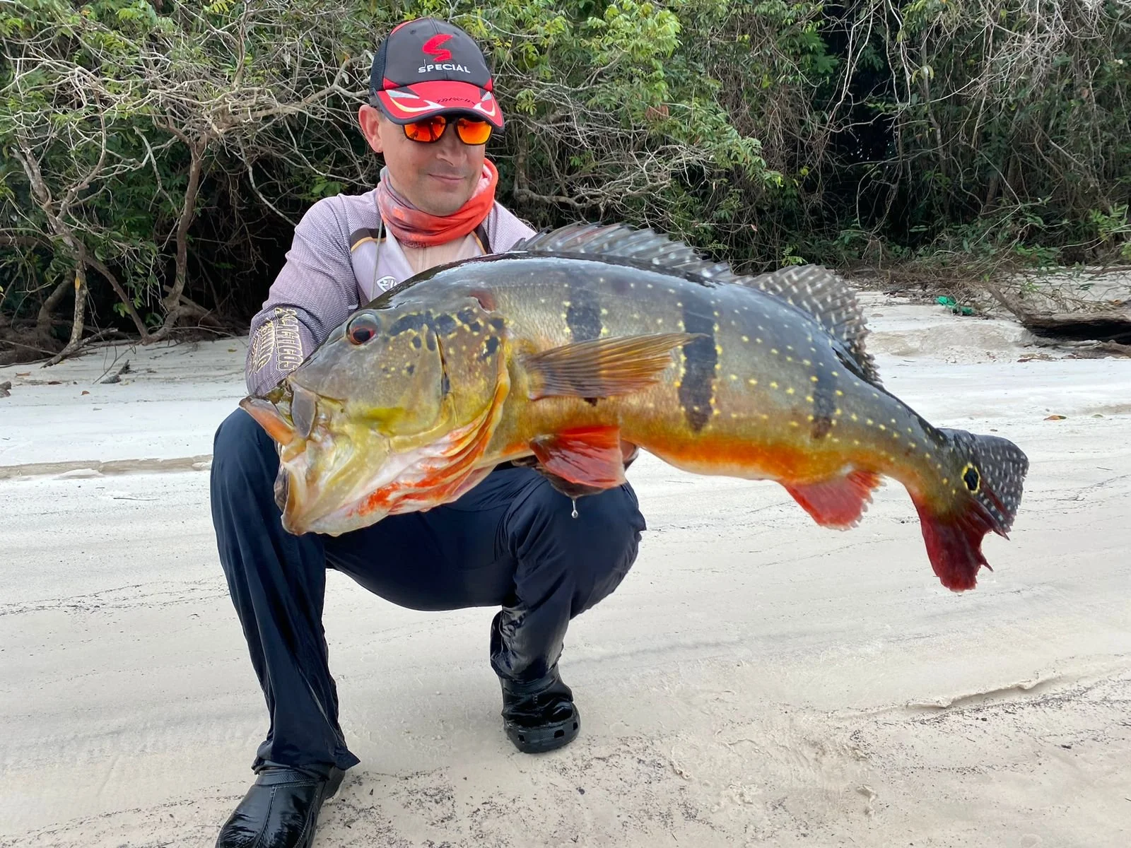 Man crouching on sandy beach holding large fish with colorful markings and spiny dorsal fin, background of greenery and trees