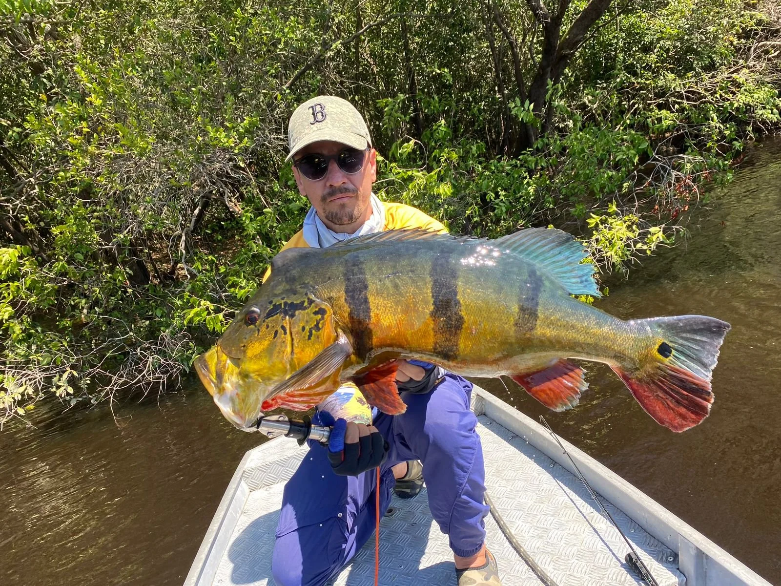 Man in sunglasses holding a large colorful fish on a boat near a waterbank with green bushes.