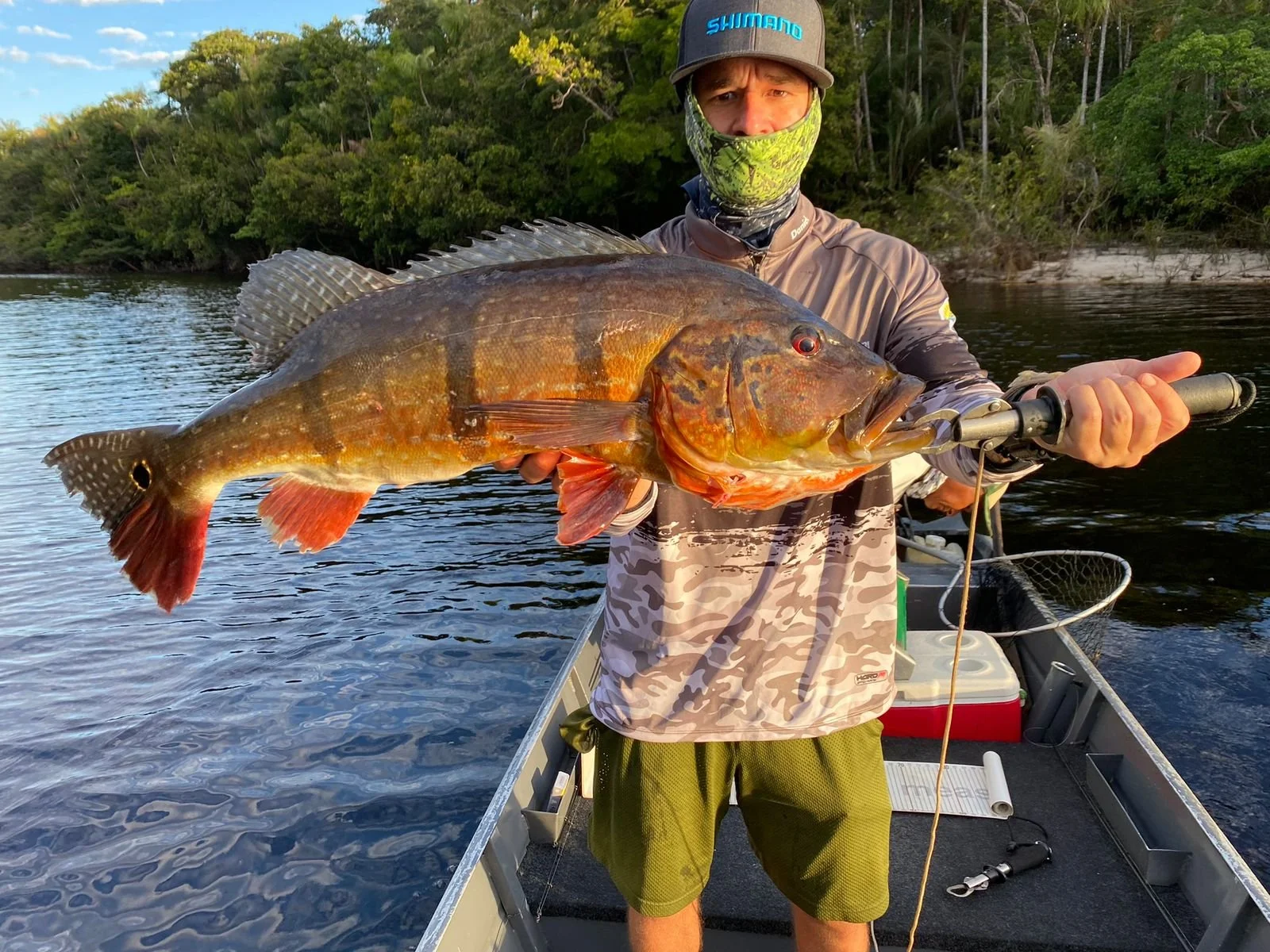 A man standing on a boat holding a large fish he caught, with a background of trees and water.