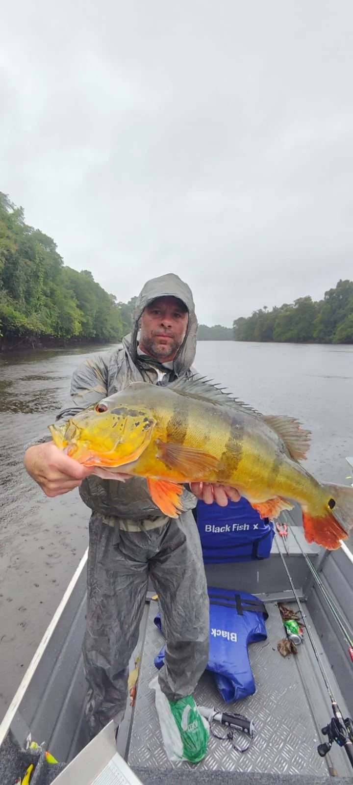 A man in rain gear holding a large yellow and green fish with orange fins on a boat in a river under cloudy skies.
