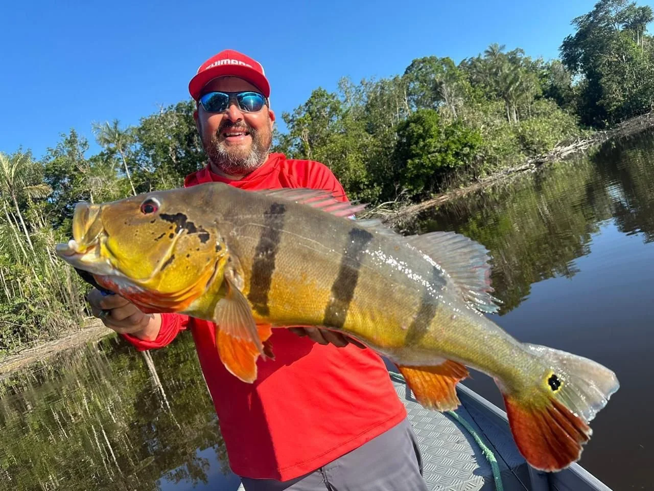 Man in red shirt and red cap holding a large yellow and black striped fish on a boat on a river, with green trees and blue sky in the background.