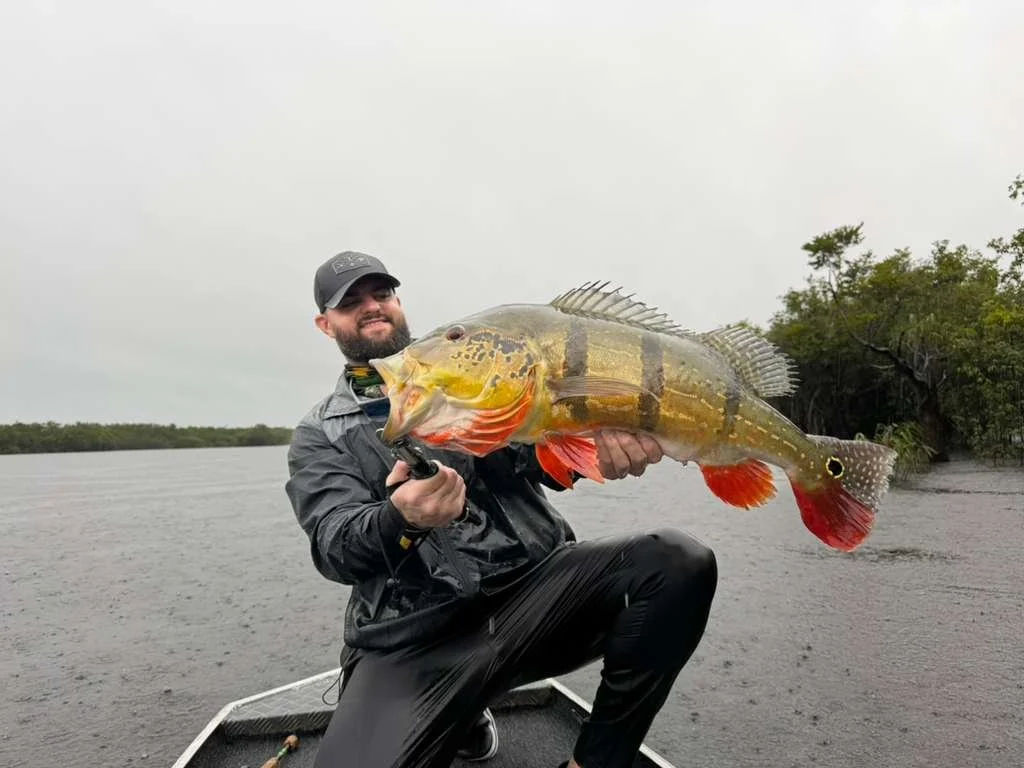 A man in a black rain jacket and cap kneeling in a boat, holding a large colorful fish over a lake with trees in the background.